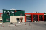 Sibagro (Vilonova Street, 35) ، بيع منتجات اللحوم بالجملة