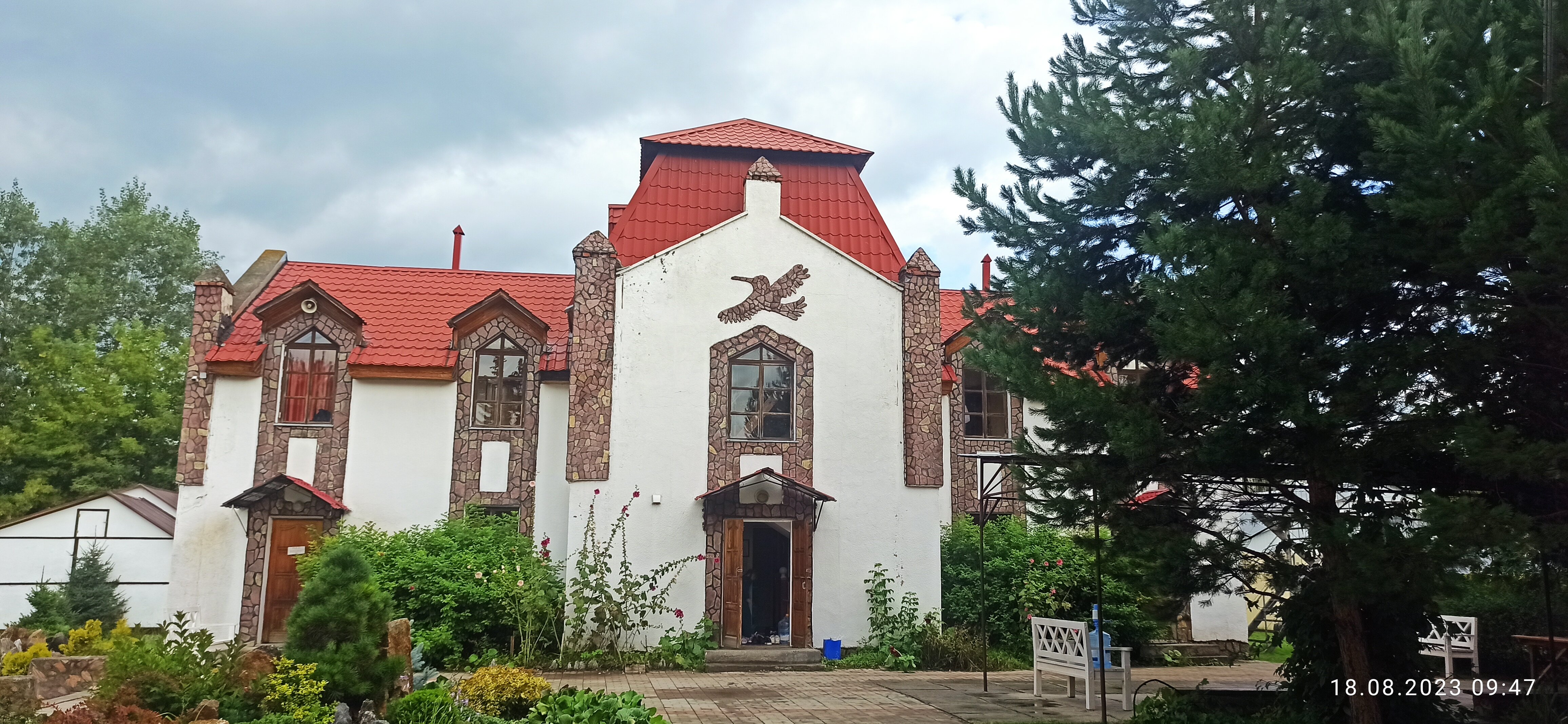 Фото Колибри