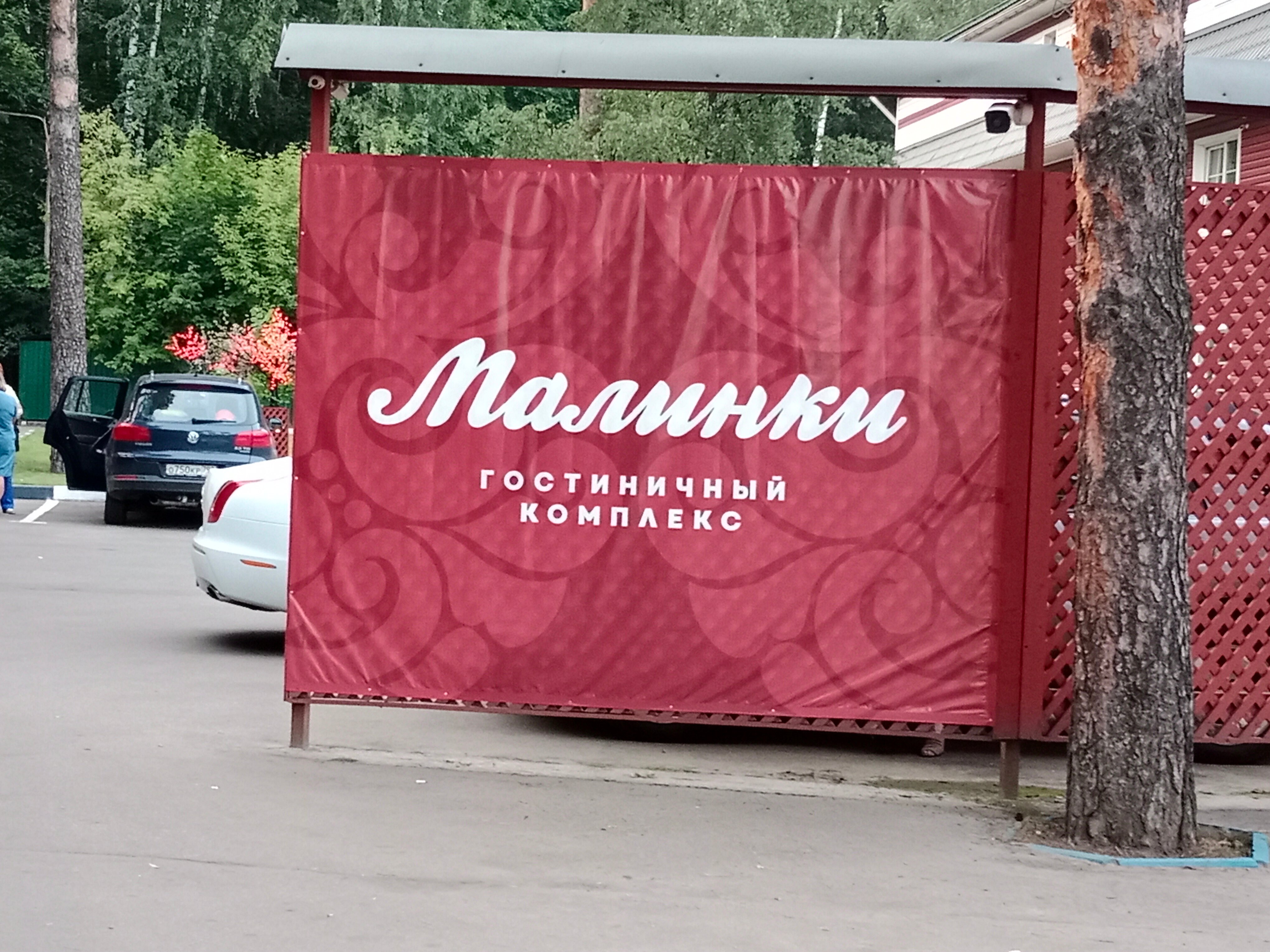 Фото Малинки 