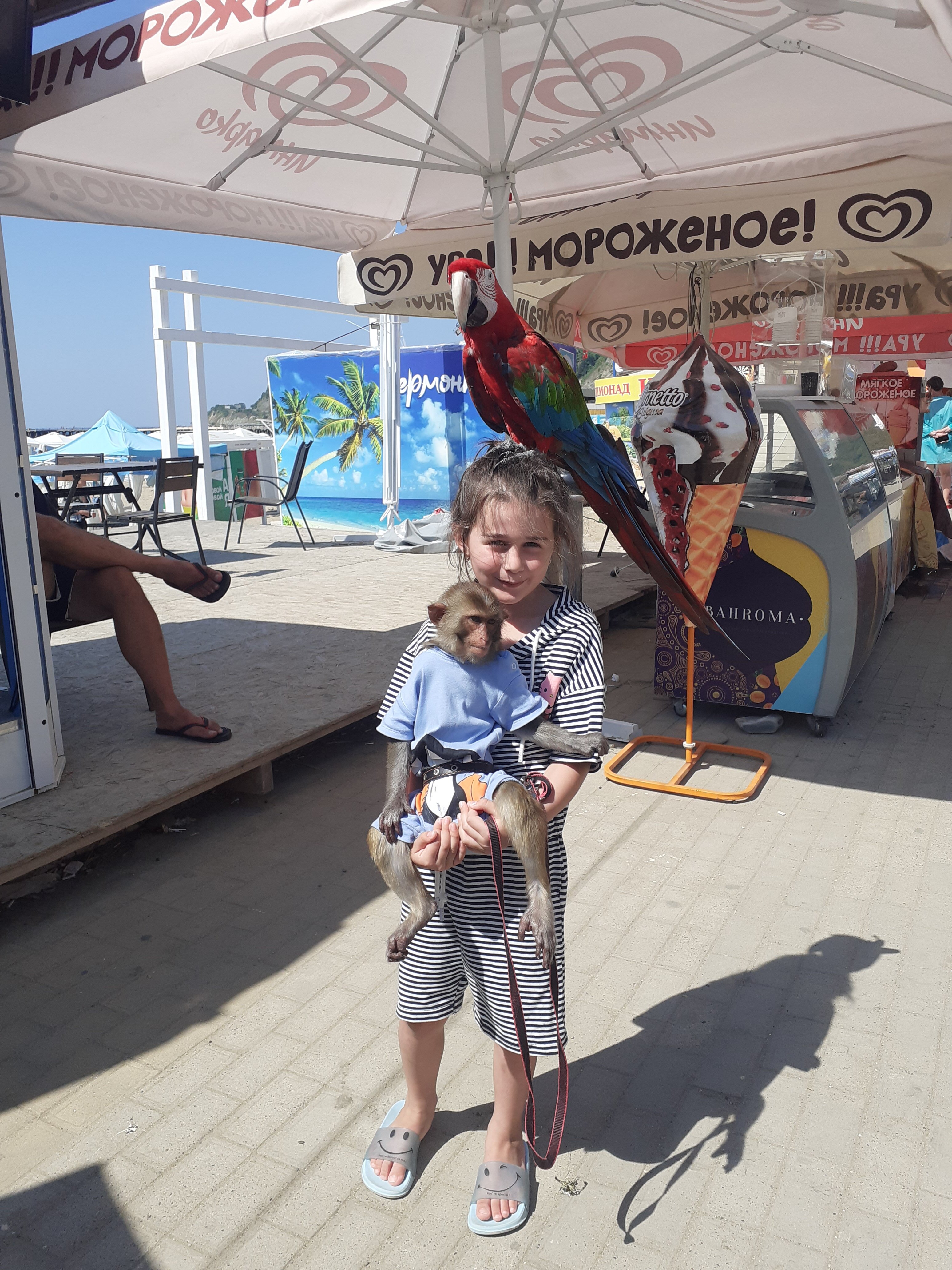 Фото Легенда