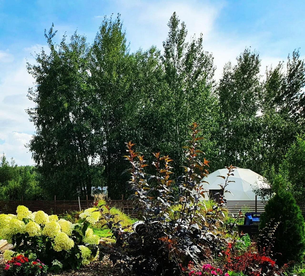 Фото Совиный Берег