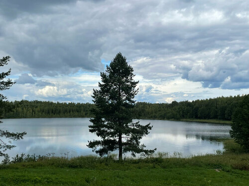 Гостиница Светлояр