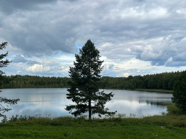 Фото Светлояр