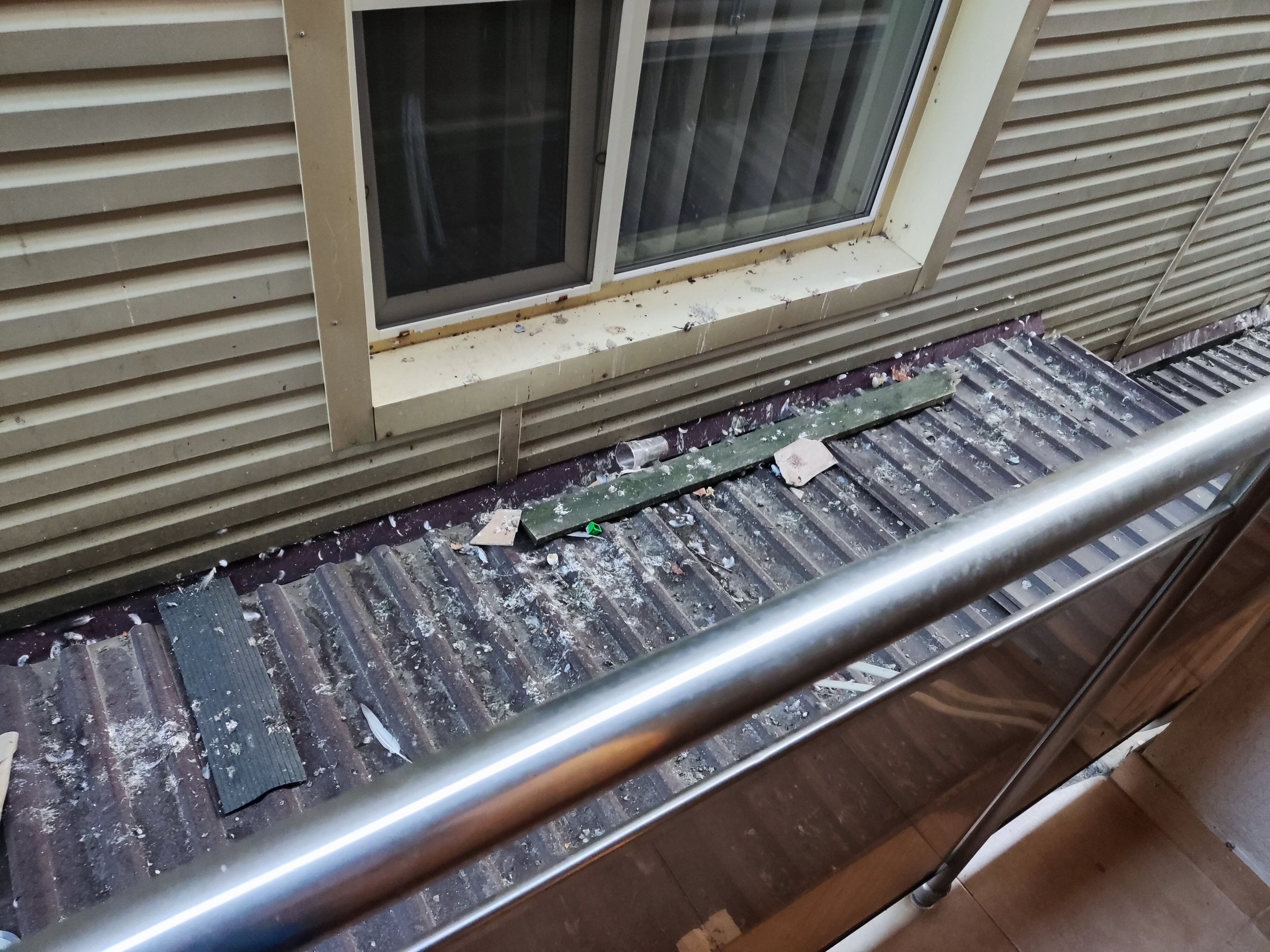 Фото Атланта