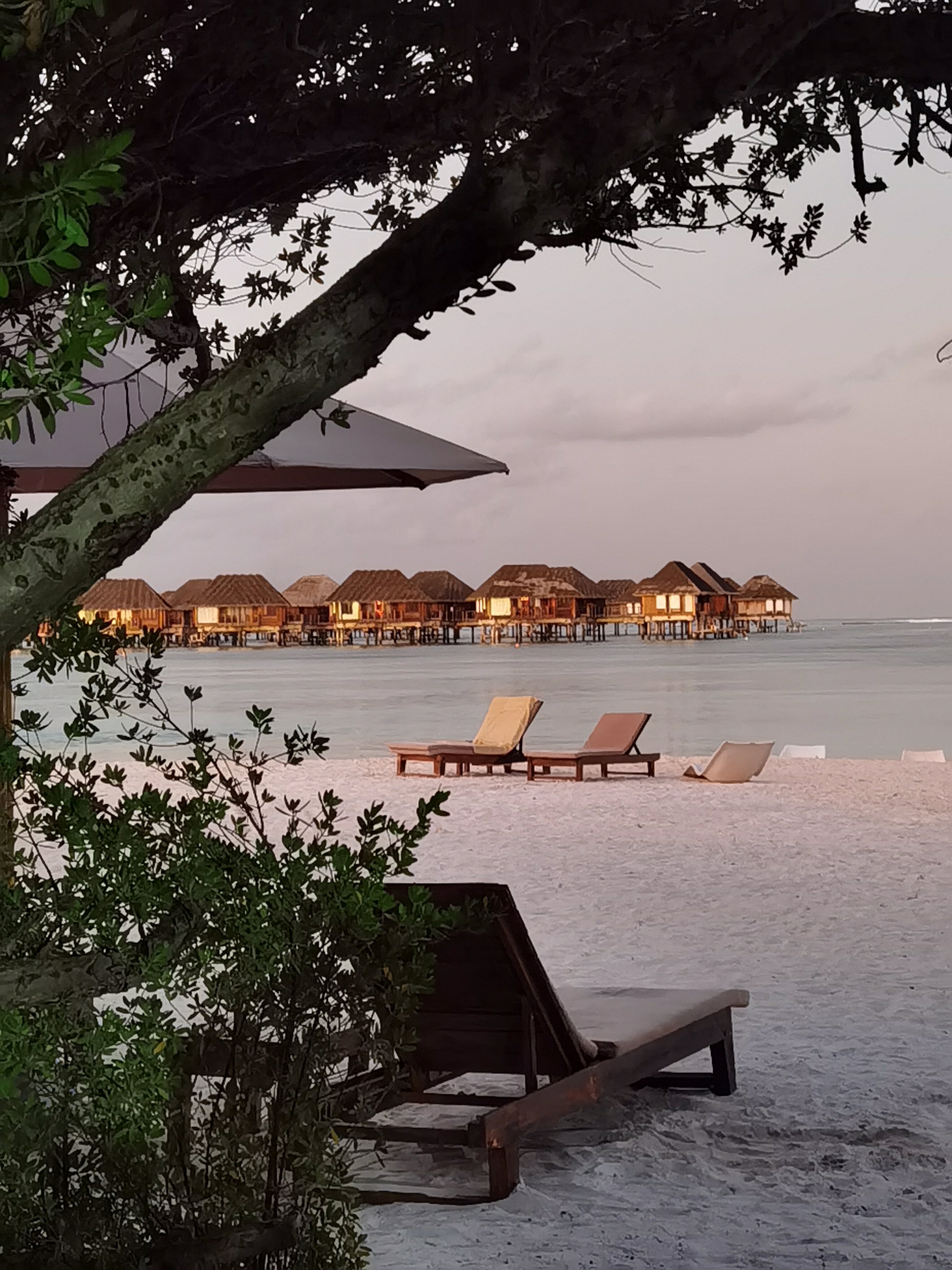 Фото Pearl Sands of Maldives