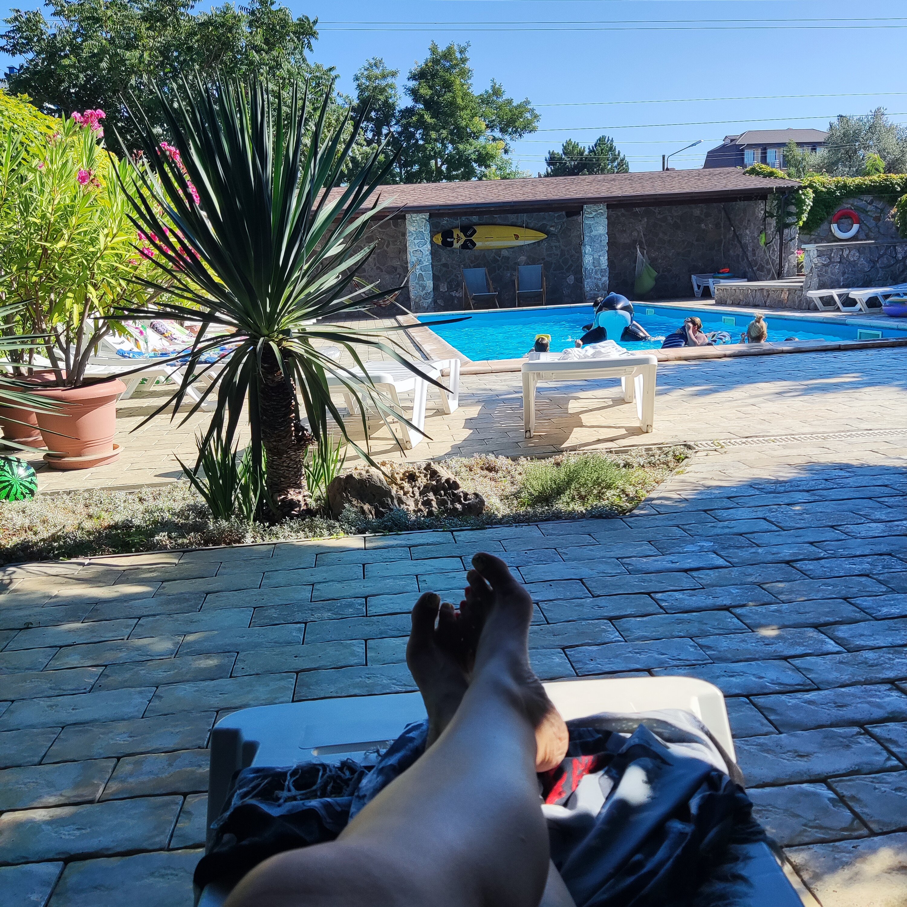 Фото Амазонка