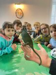 Серебряный жук (mikrorayon Mosproyekta, Sadovaya ulitsa, 10), organization of children events