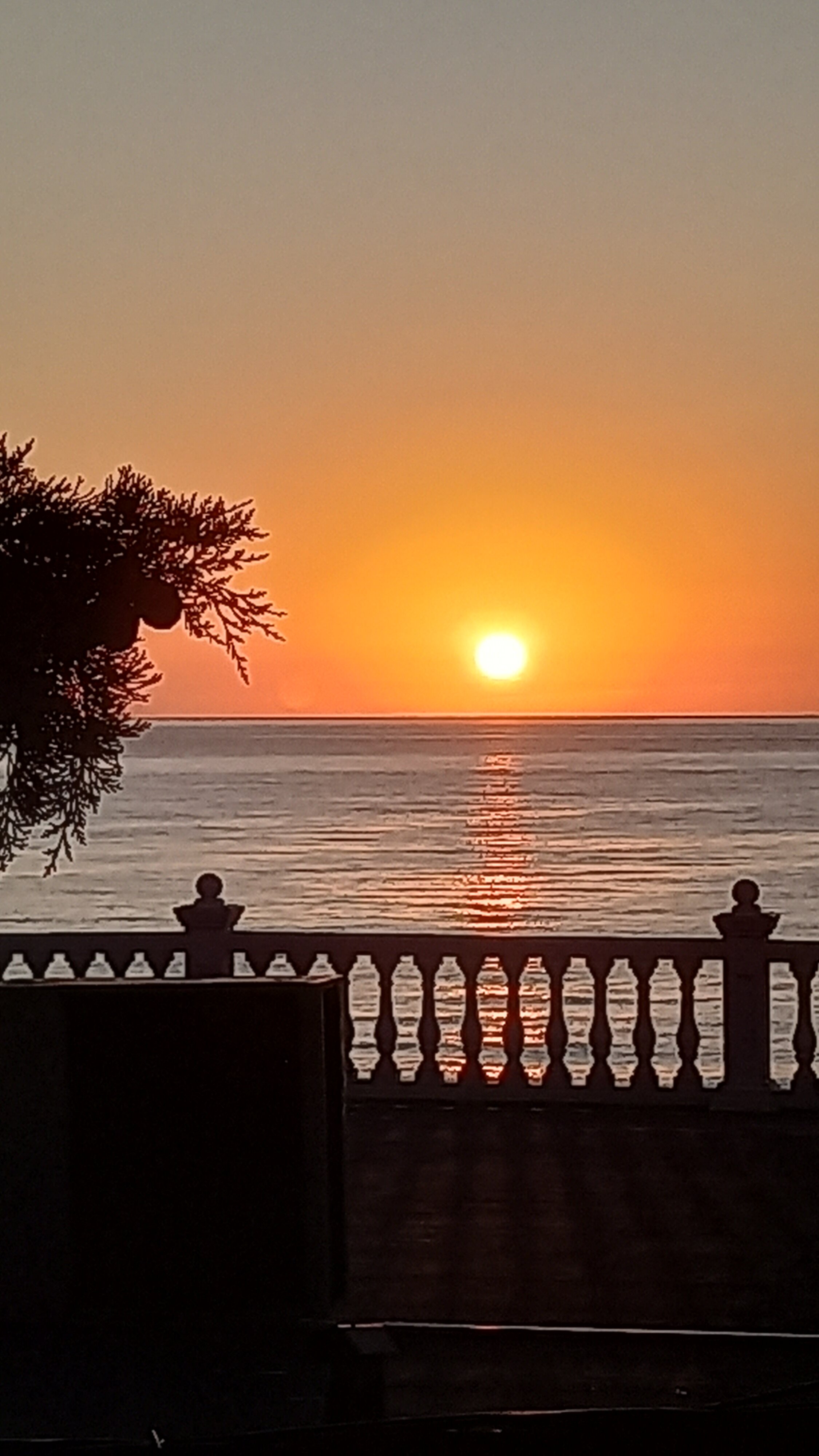 Фото Престиж