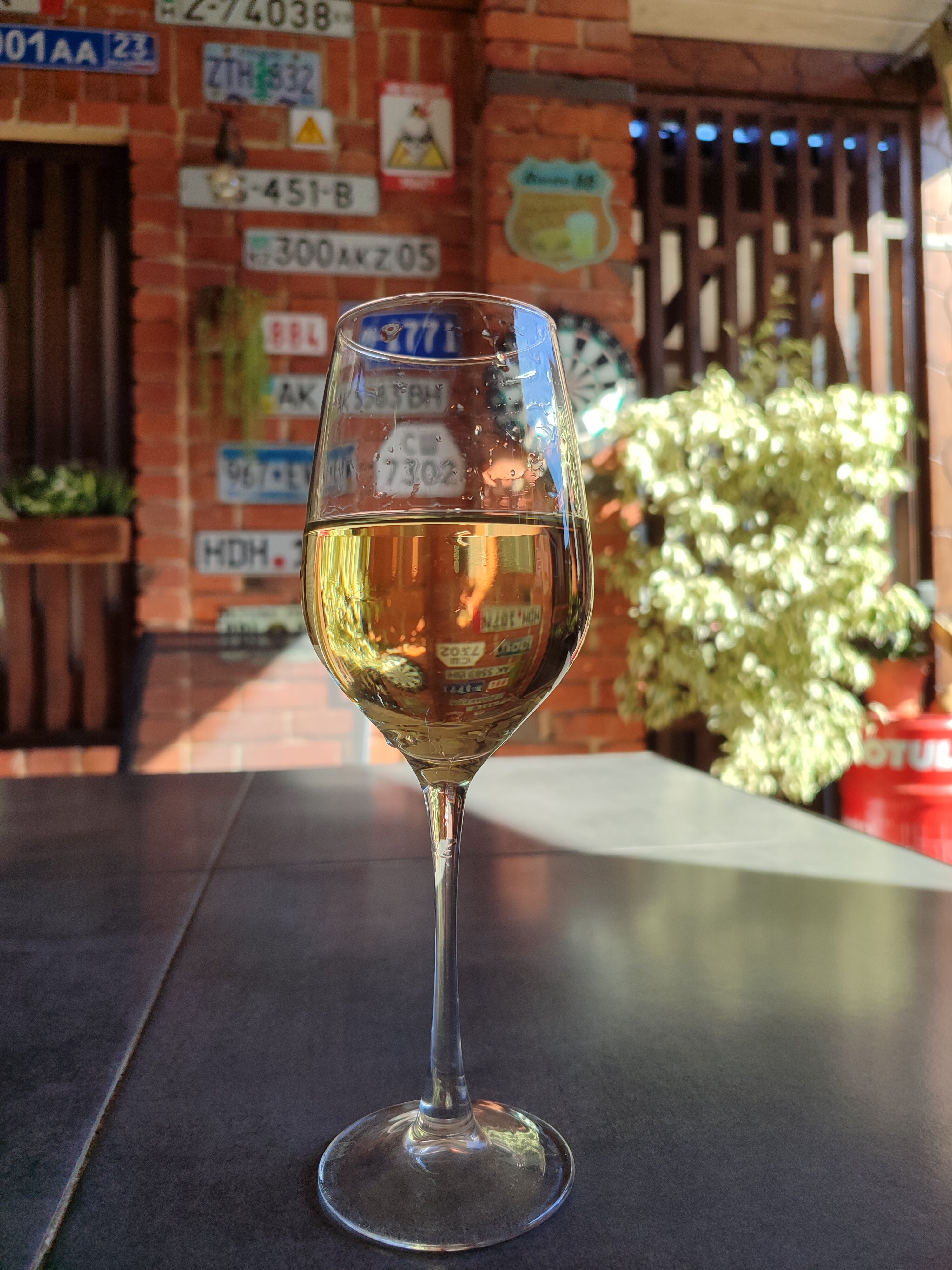 Фото Семейный