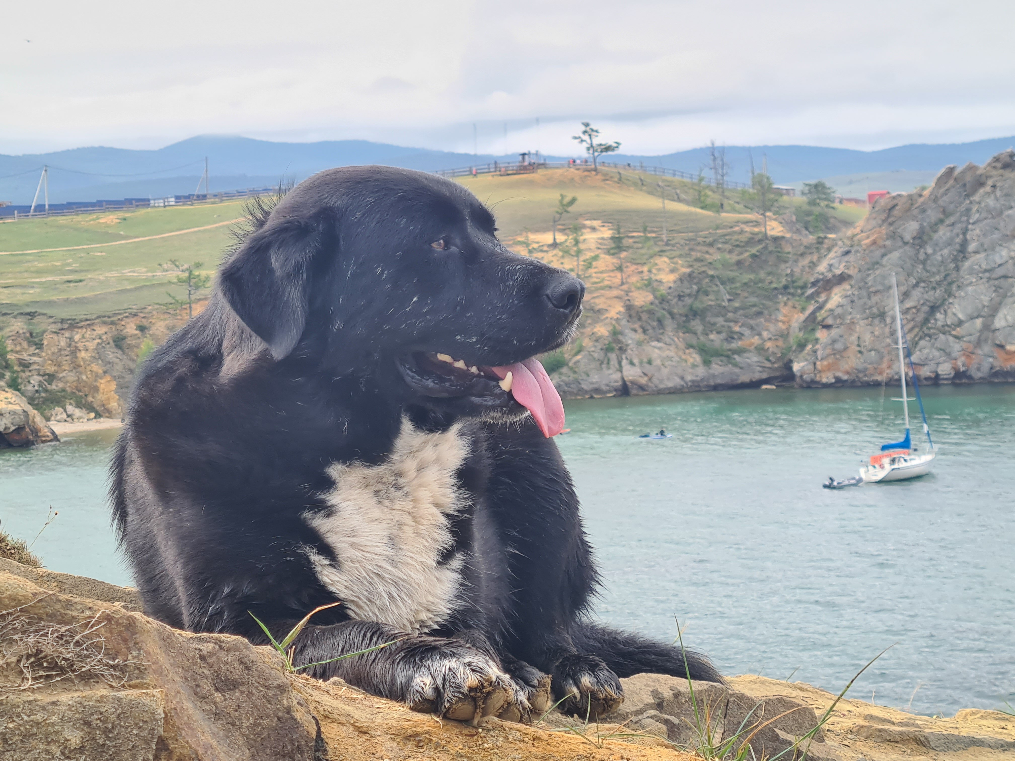 Фото Филоксения