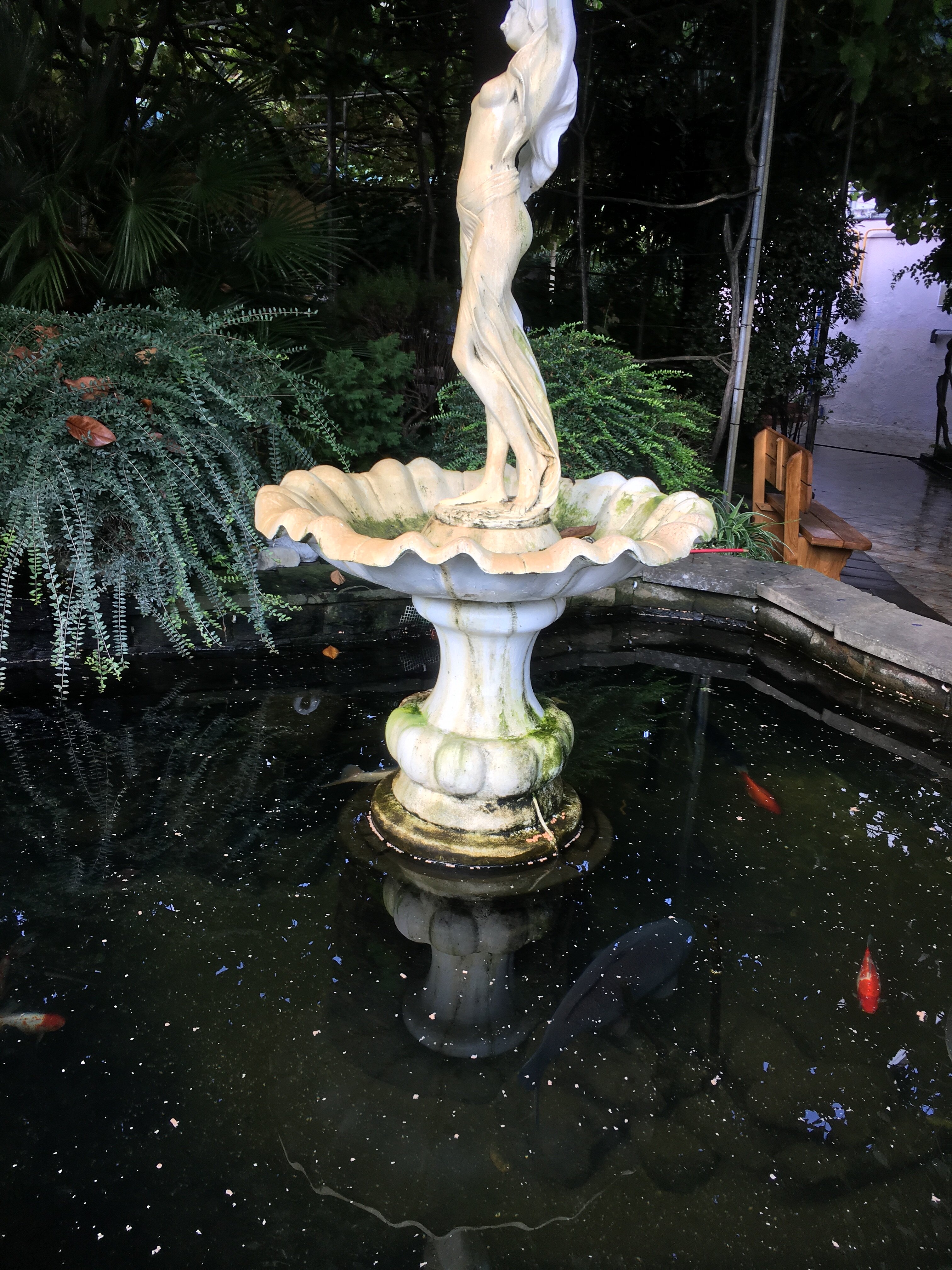 Фото Солоники