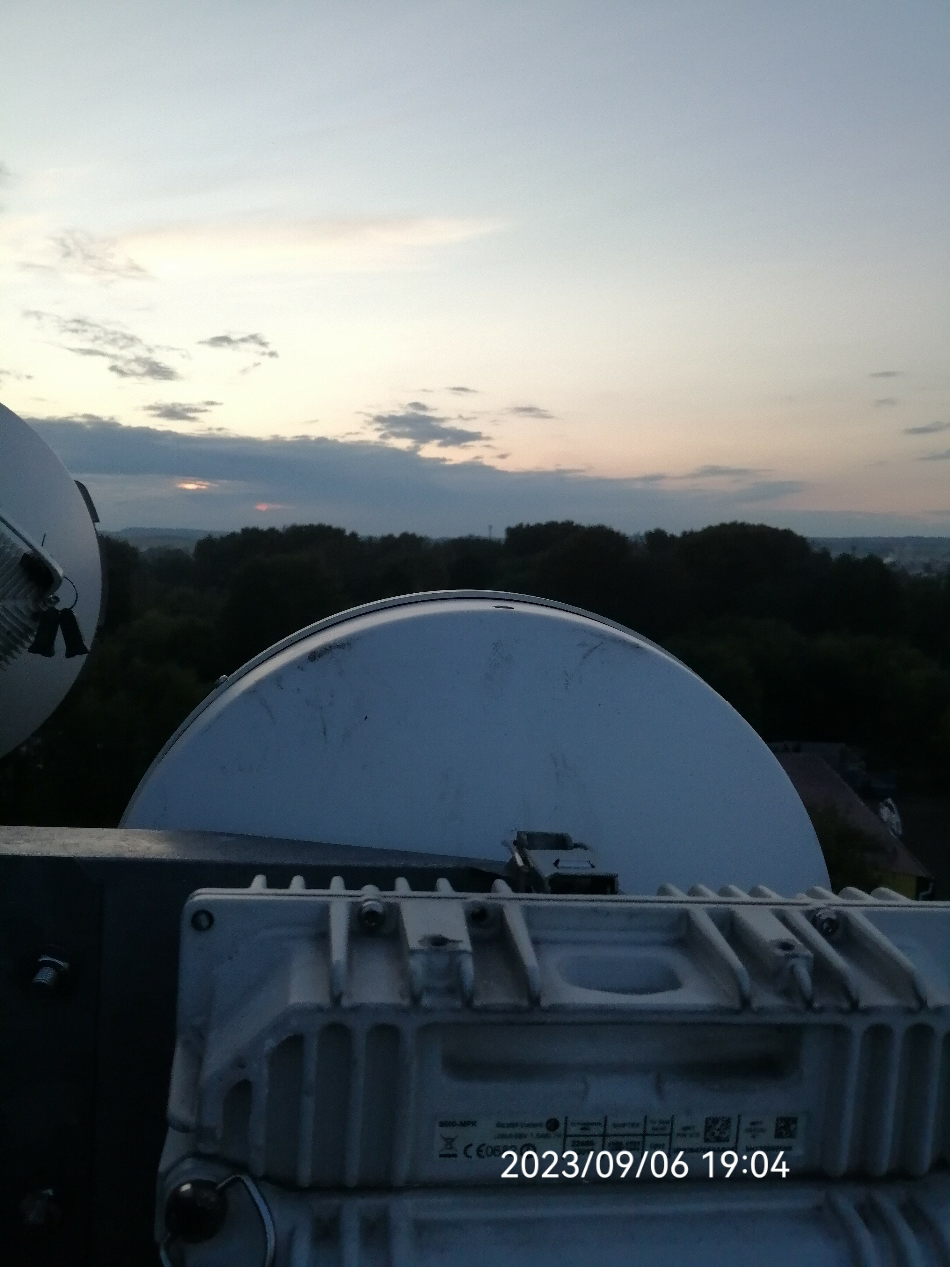 Фото Березка