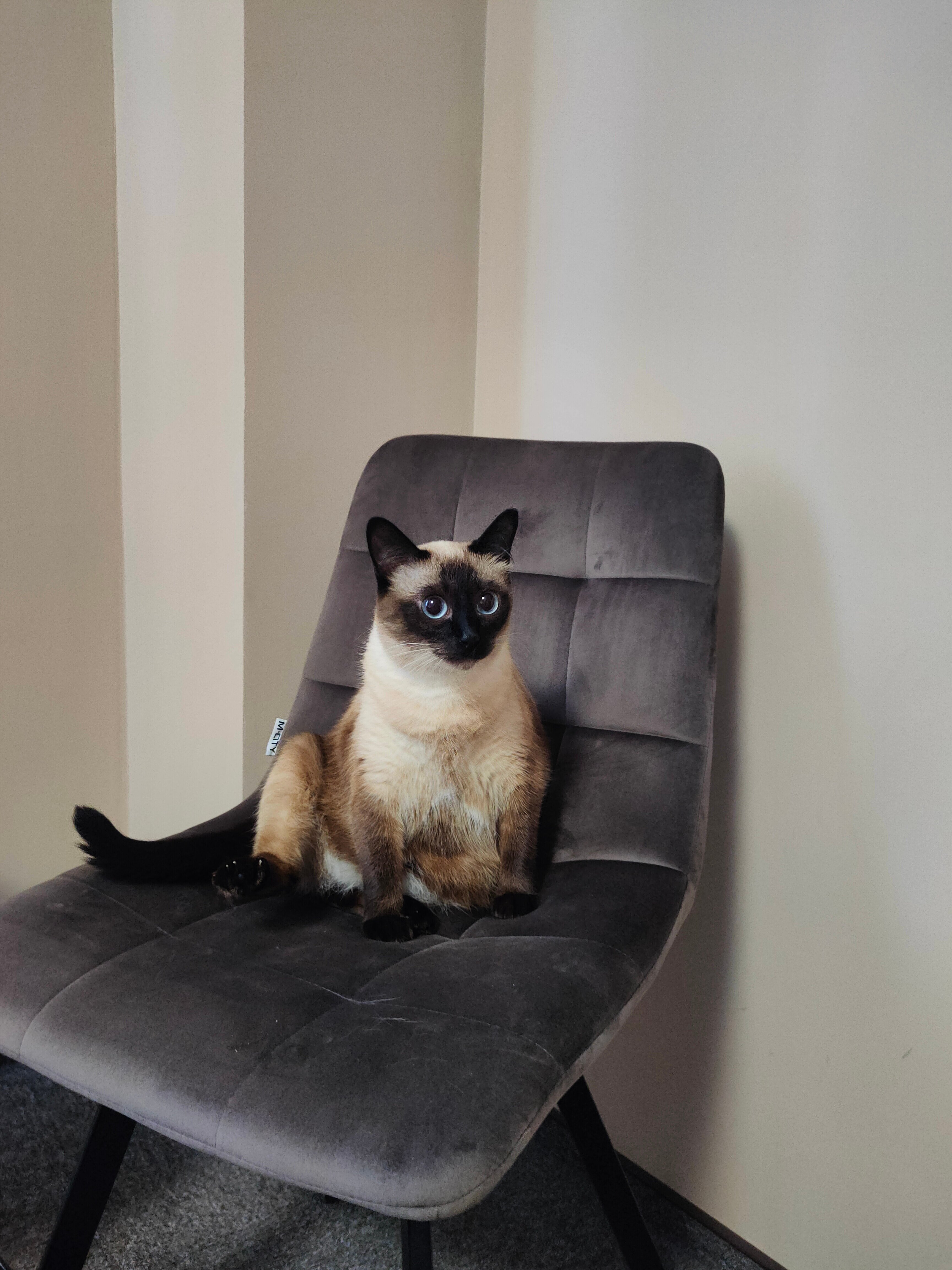 Фото Гостиница Сызрань