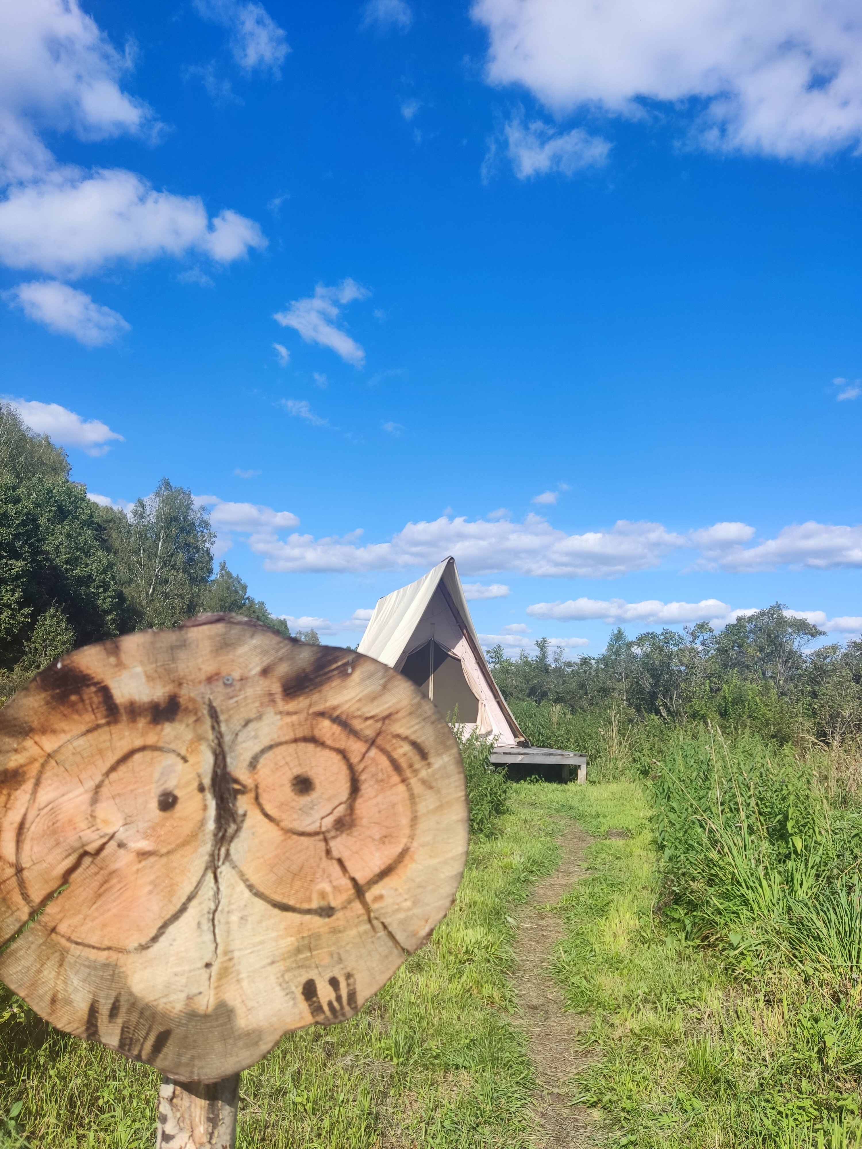 Фото Глэмпинг Стрекоза