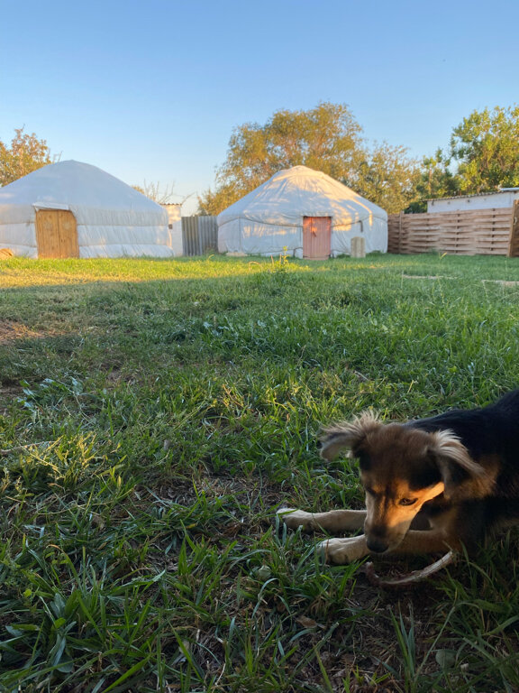 Фото Калмыцкий Дворик Sansara