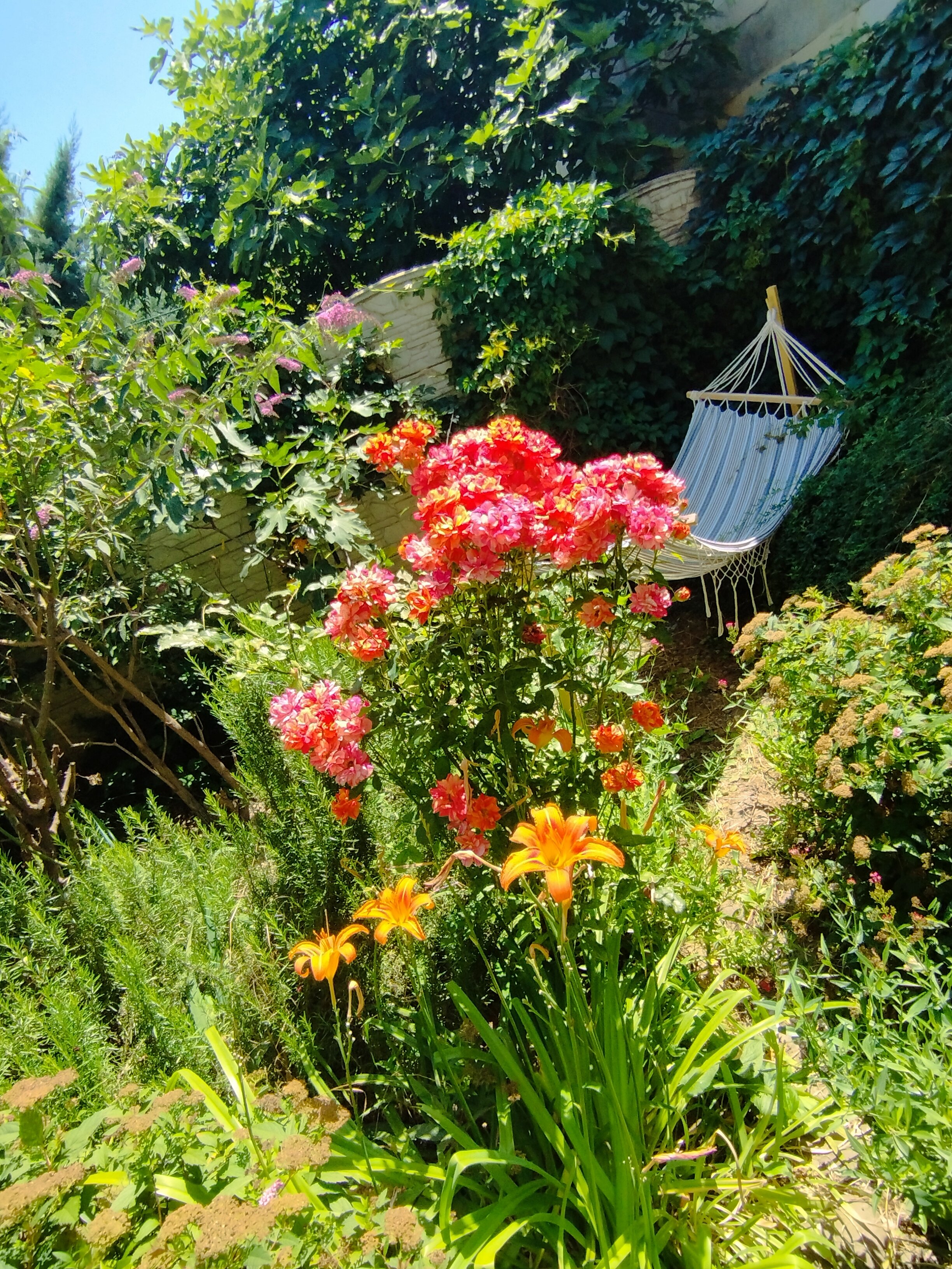 Фото Вилла Ямайка