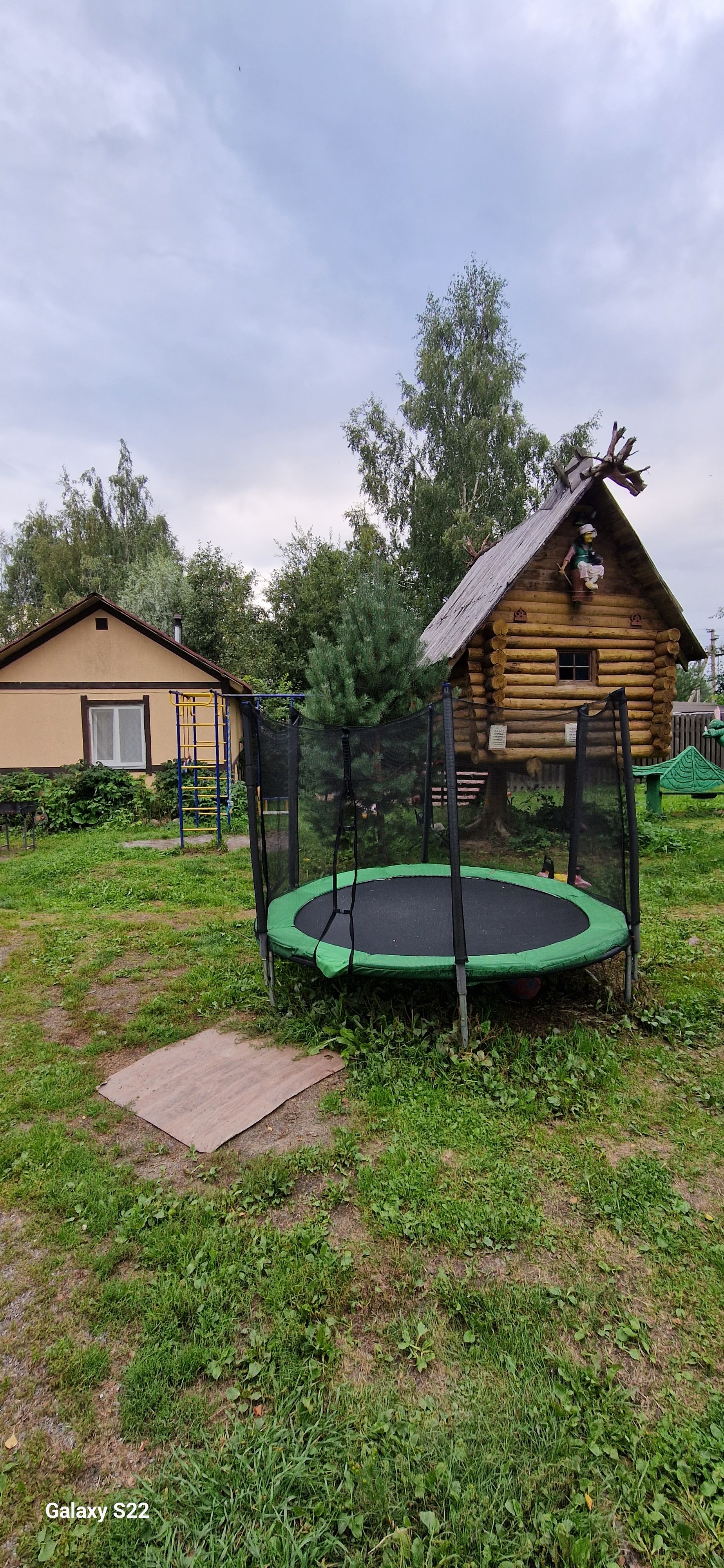 Фото Беличье