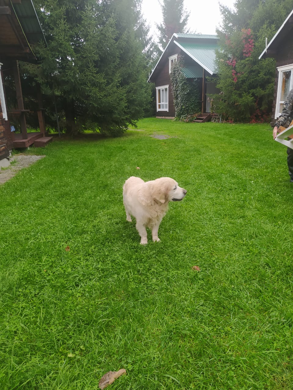 Фото Алтай rest