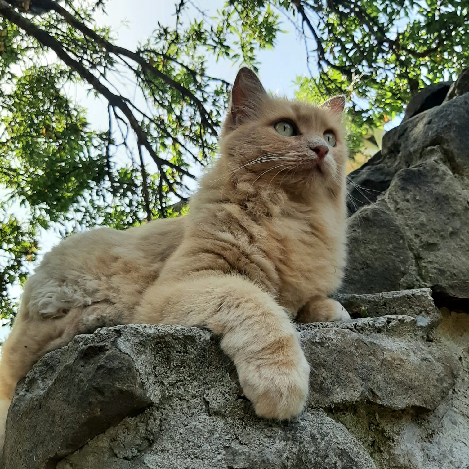 Фото Владислава