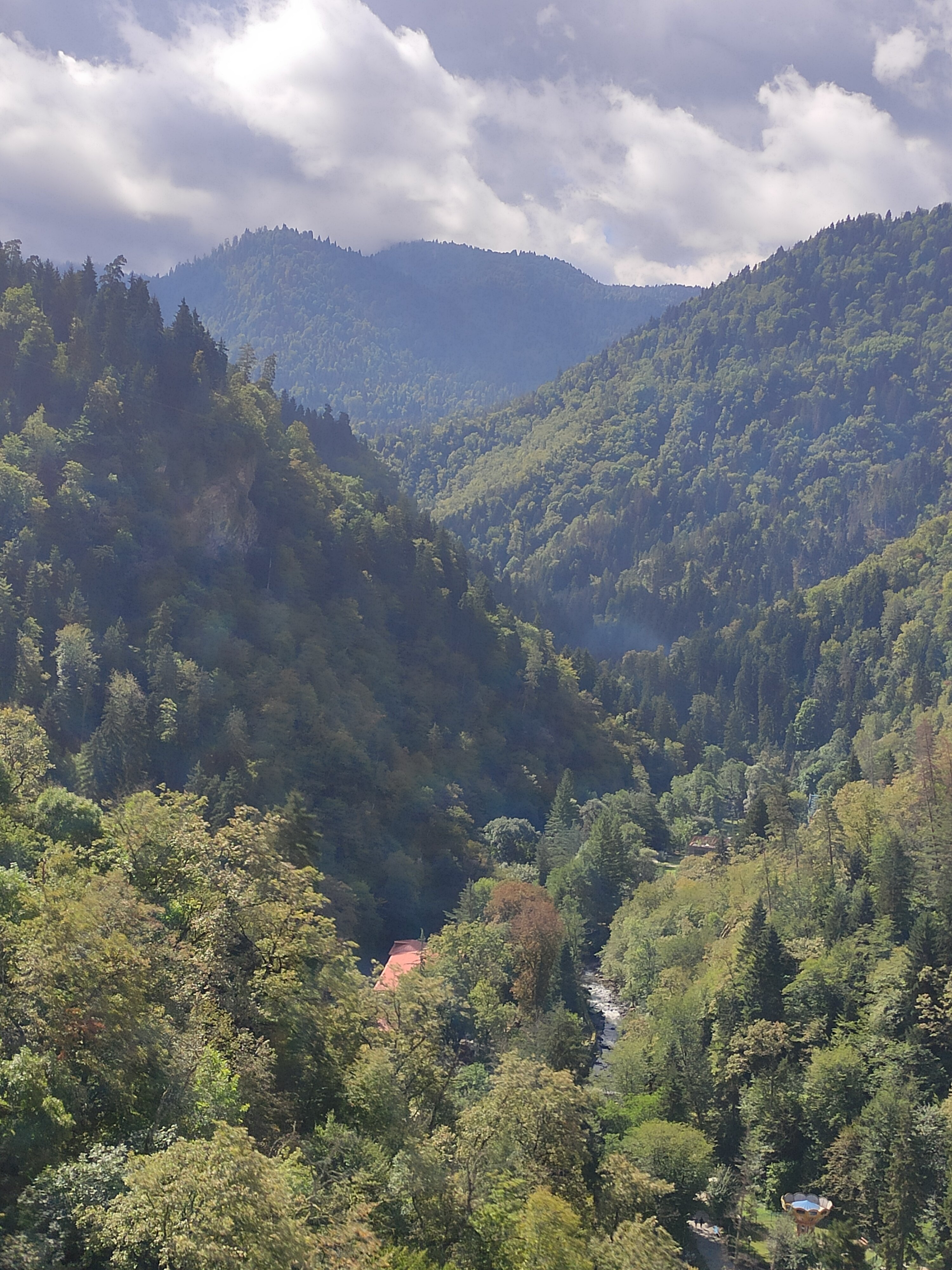 Фото ბორჯომი სასტუმრო ალმა-ატა