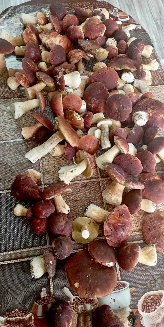 Фото Дом у заповедника