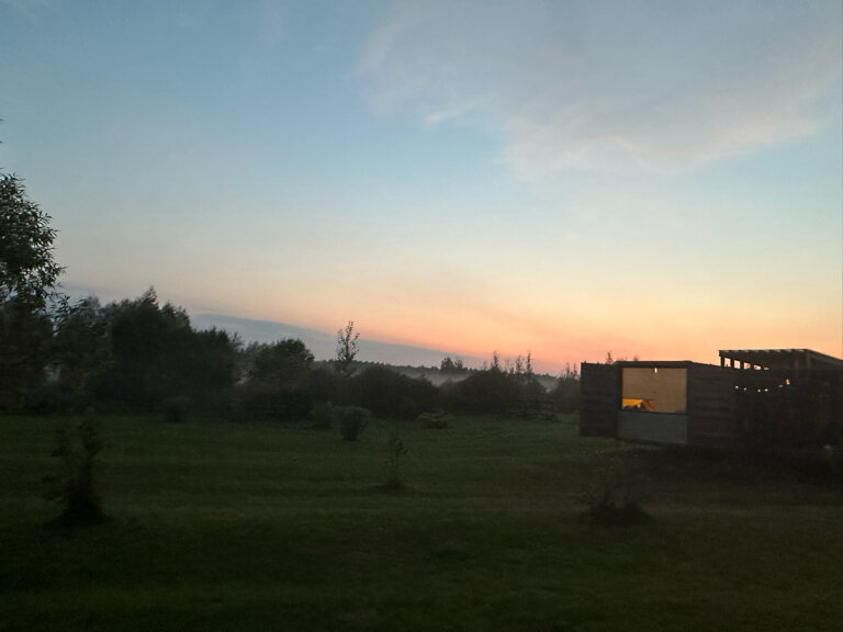 Фото Лес и луга