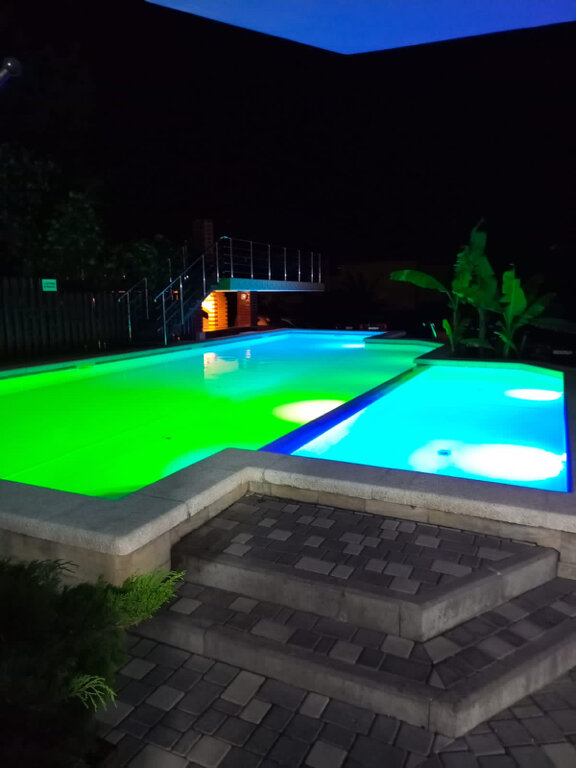 Фото Березы