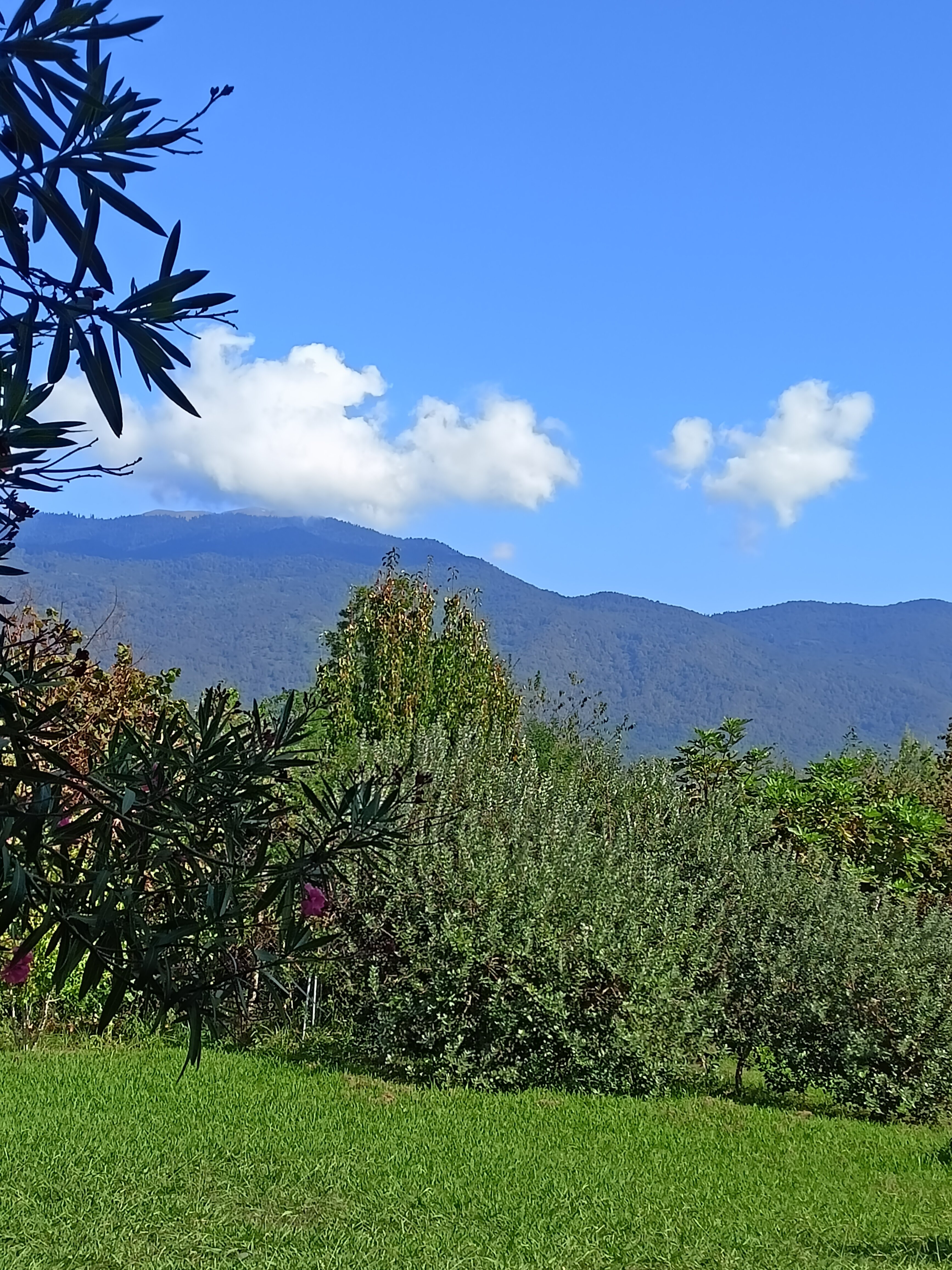 Фото Guest House on Sayat-Nova