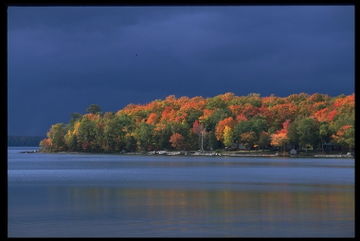 Фото Comfort Inn Sault Ste. Marie