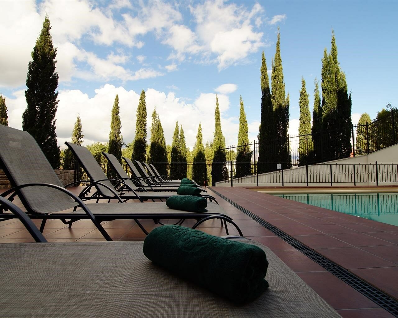 Фото Кипрессо