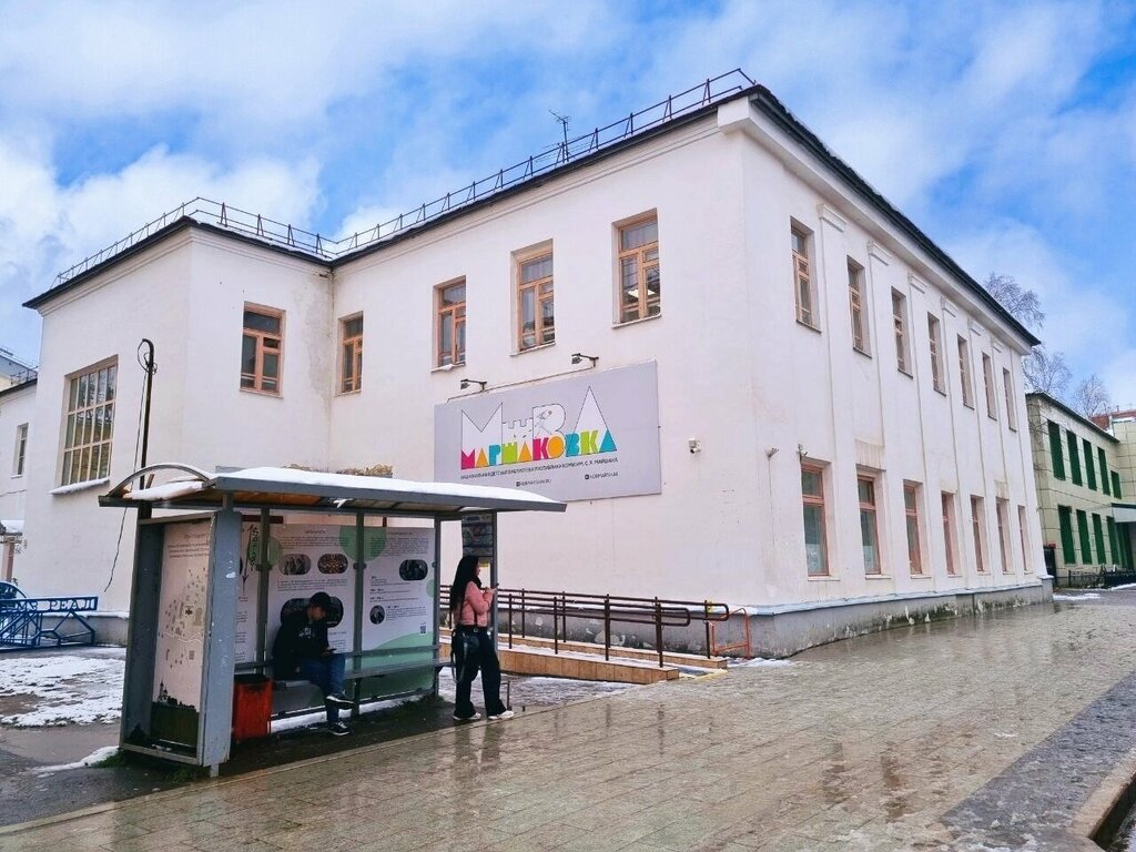 Library National Children's Library of the Komi Republic named after S.Ya. Marshak, Syktyvkar, photo