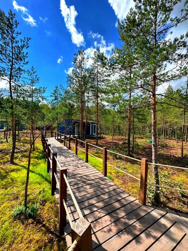 Иное жильё Лес в Ленинградской области