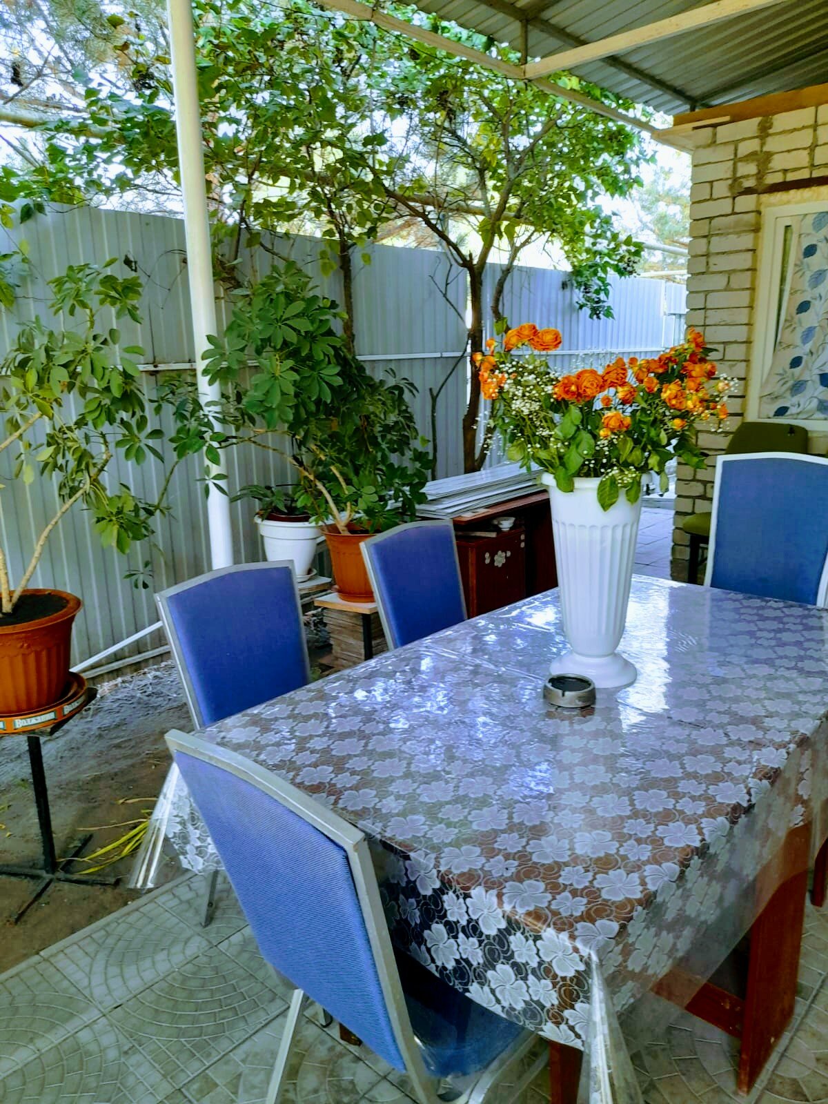 Фото Сосновая Стрит