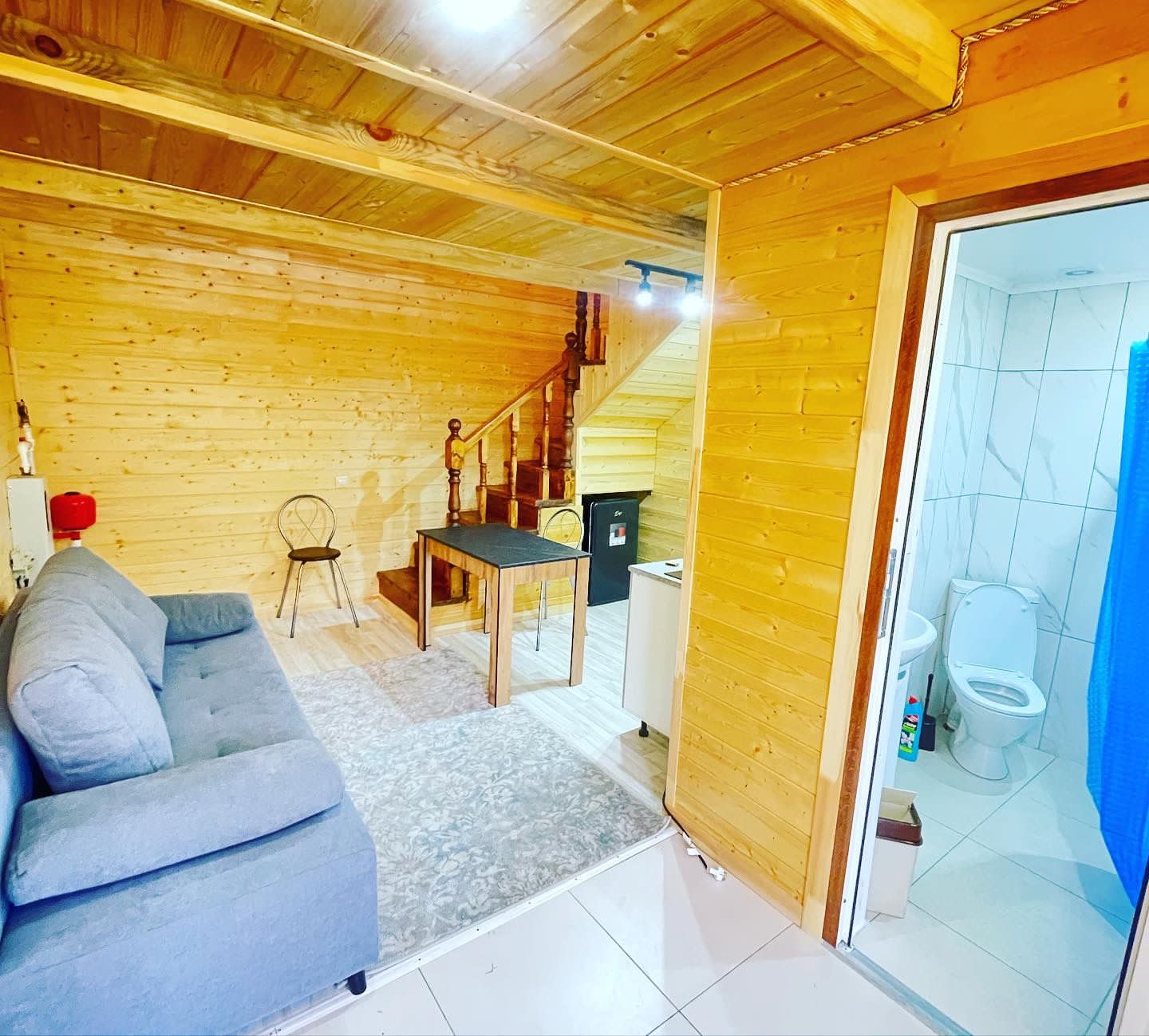 Фото 3 сосны