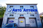 Avto Apteka (Dovatora Street, 175), car service, auto repair