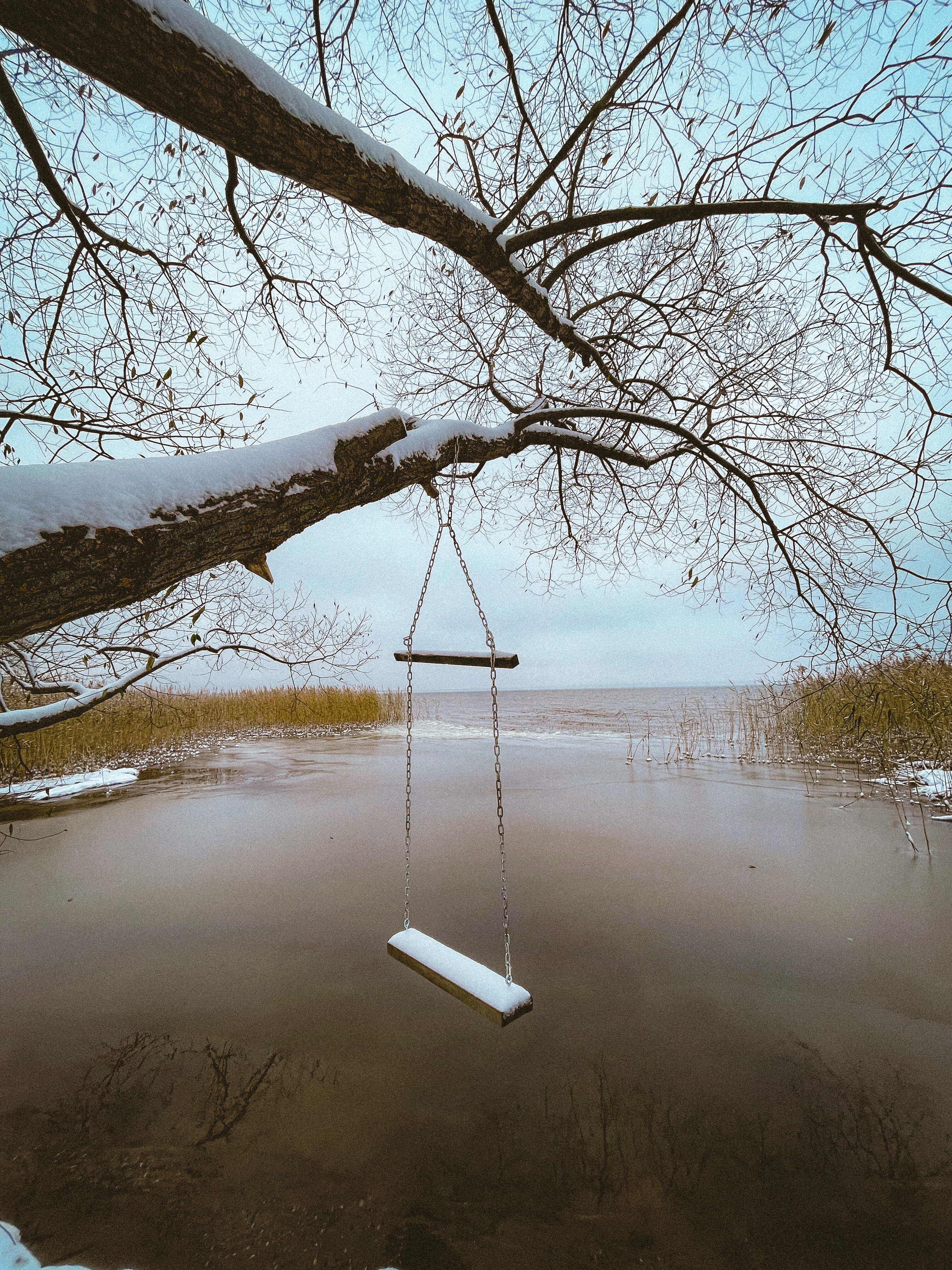 Фото Дом на дереве