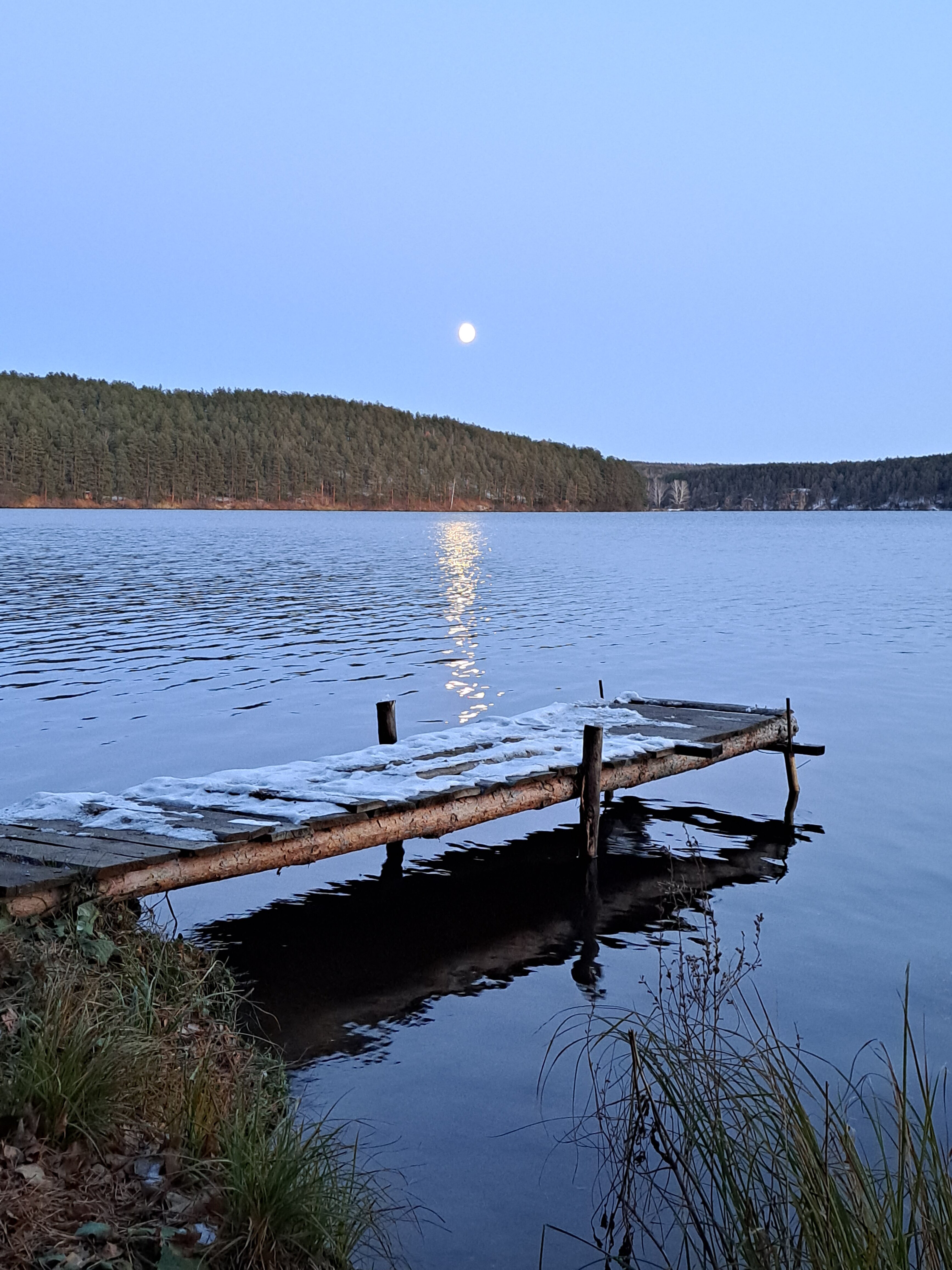 Фото Лесотерапия