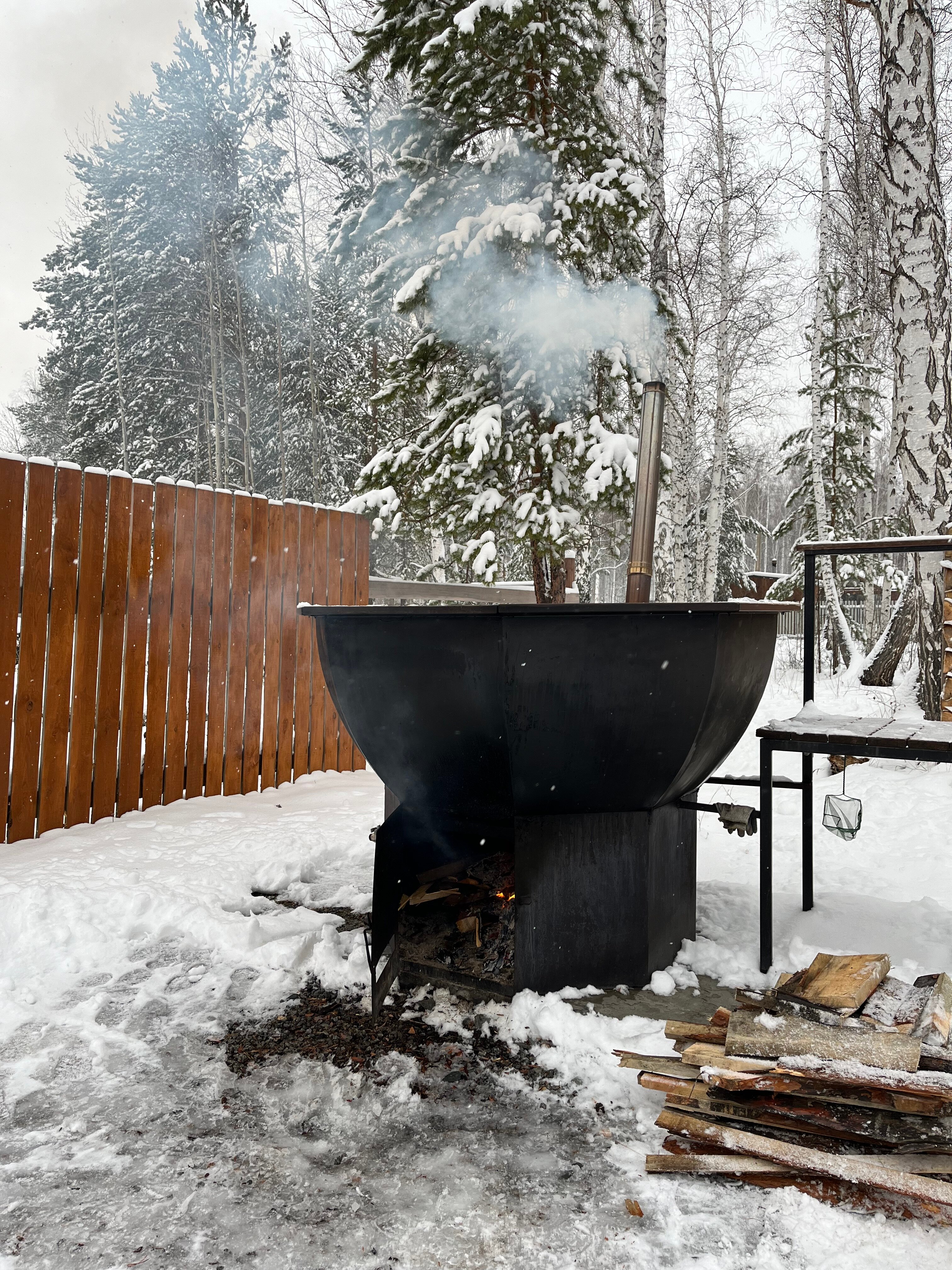 Фото Тихий Кот