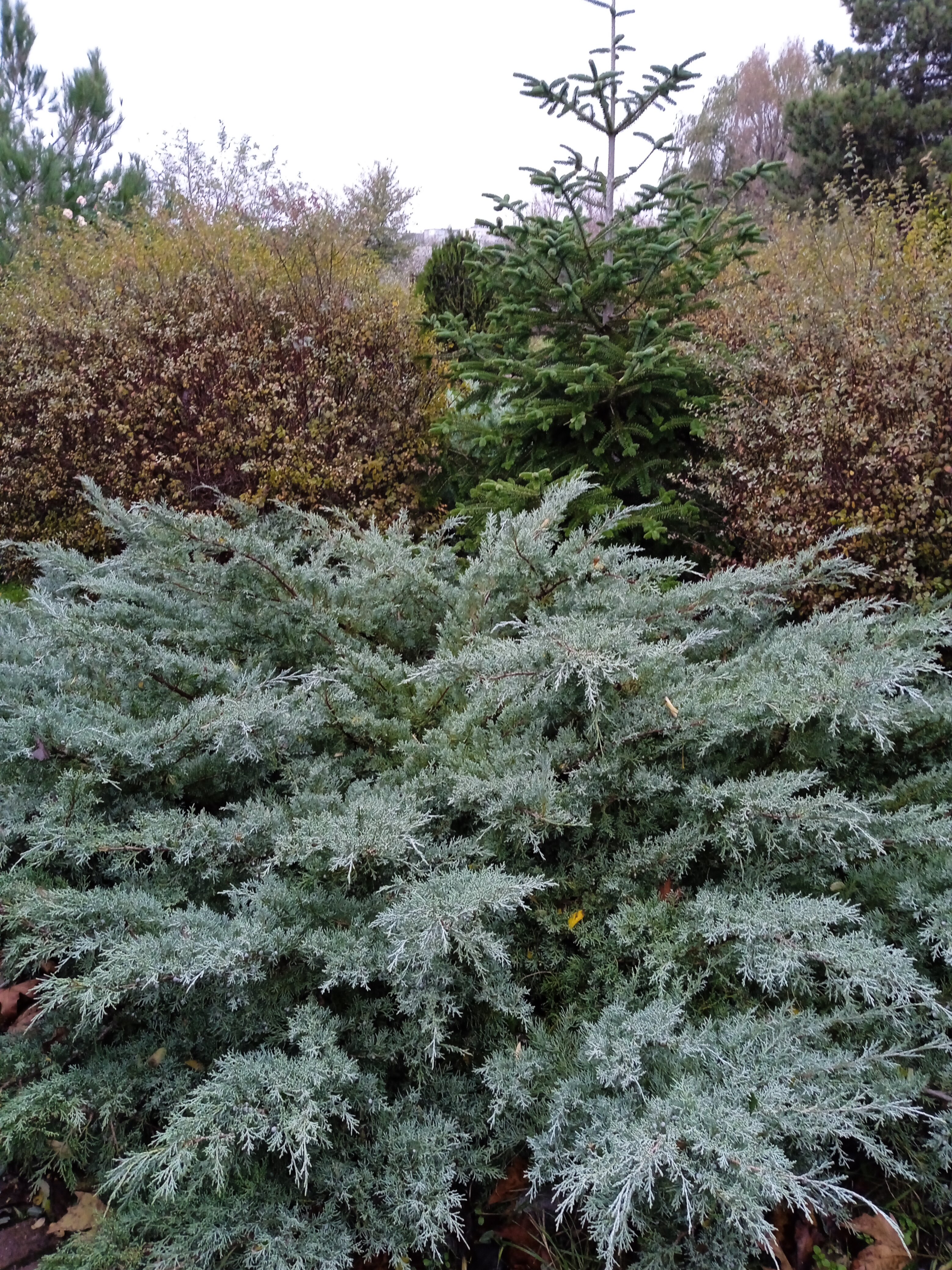 Фото Москва-Крым