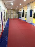 Pvpbk Iliya Muromets (Gorkogo Street, 79с3) ، نادي رياضي، مجموعة