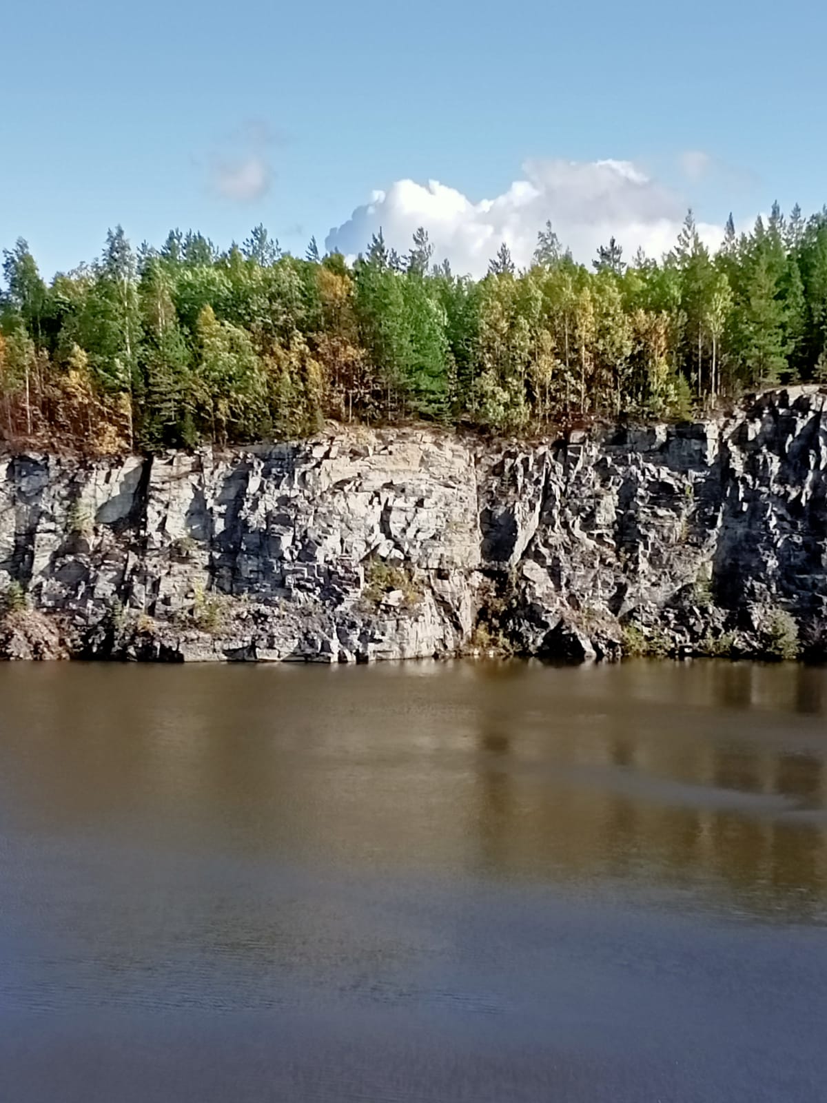 Фото Нереис