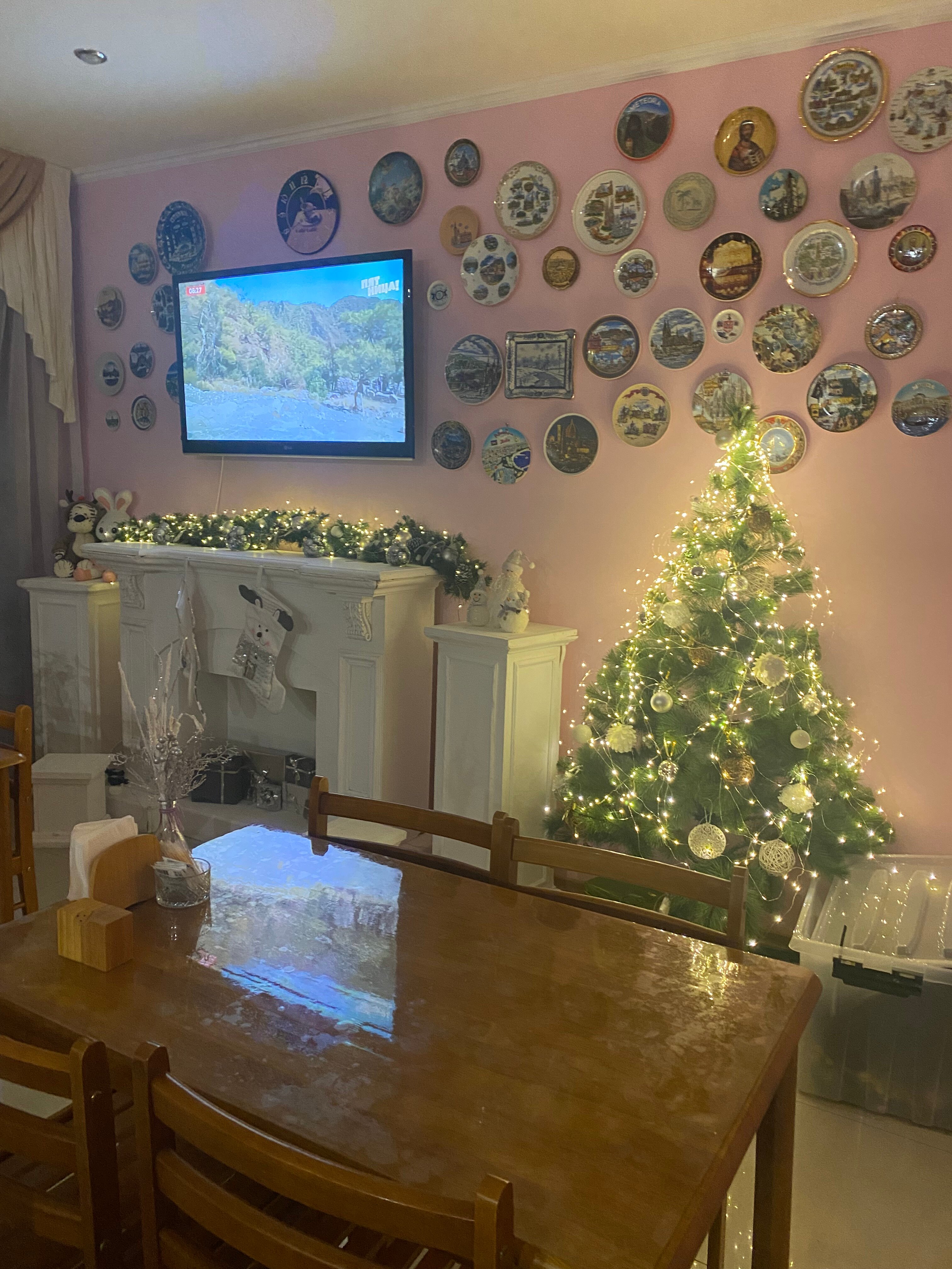 Фото Фламинго