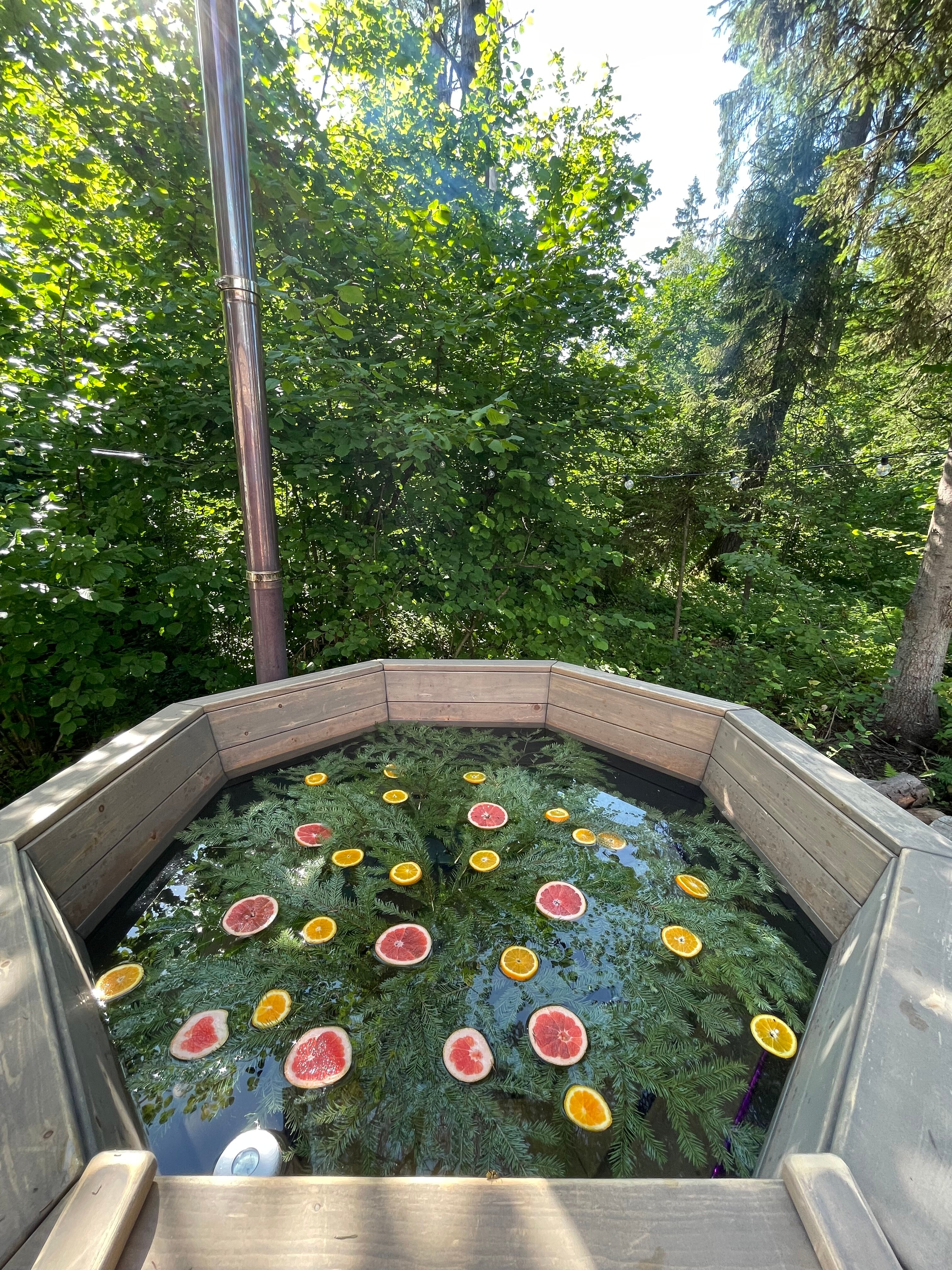 Фото Lesnitsyno_dacha