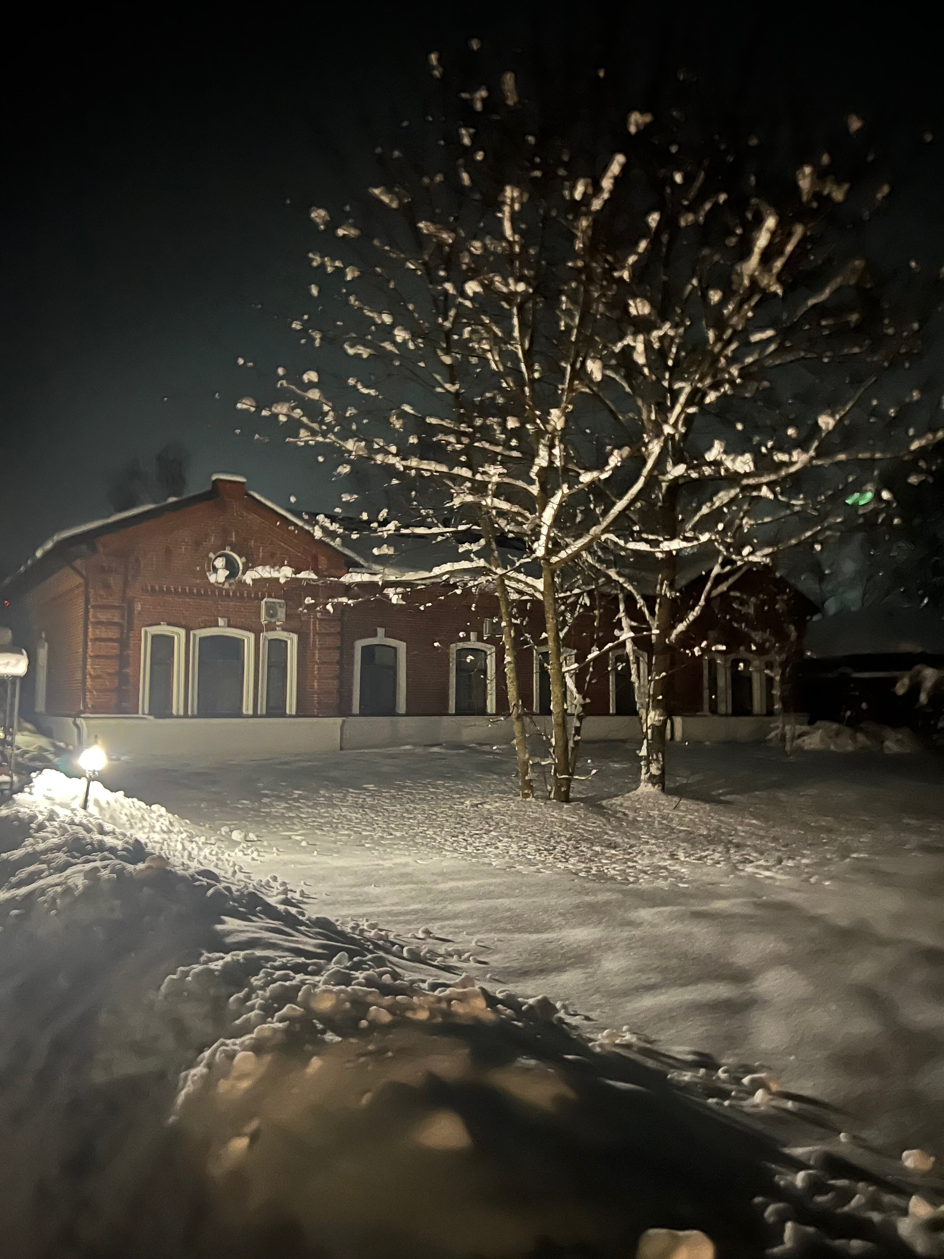 Фото Фроотель