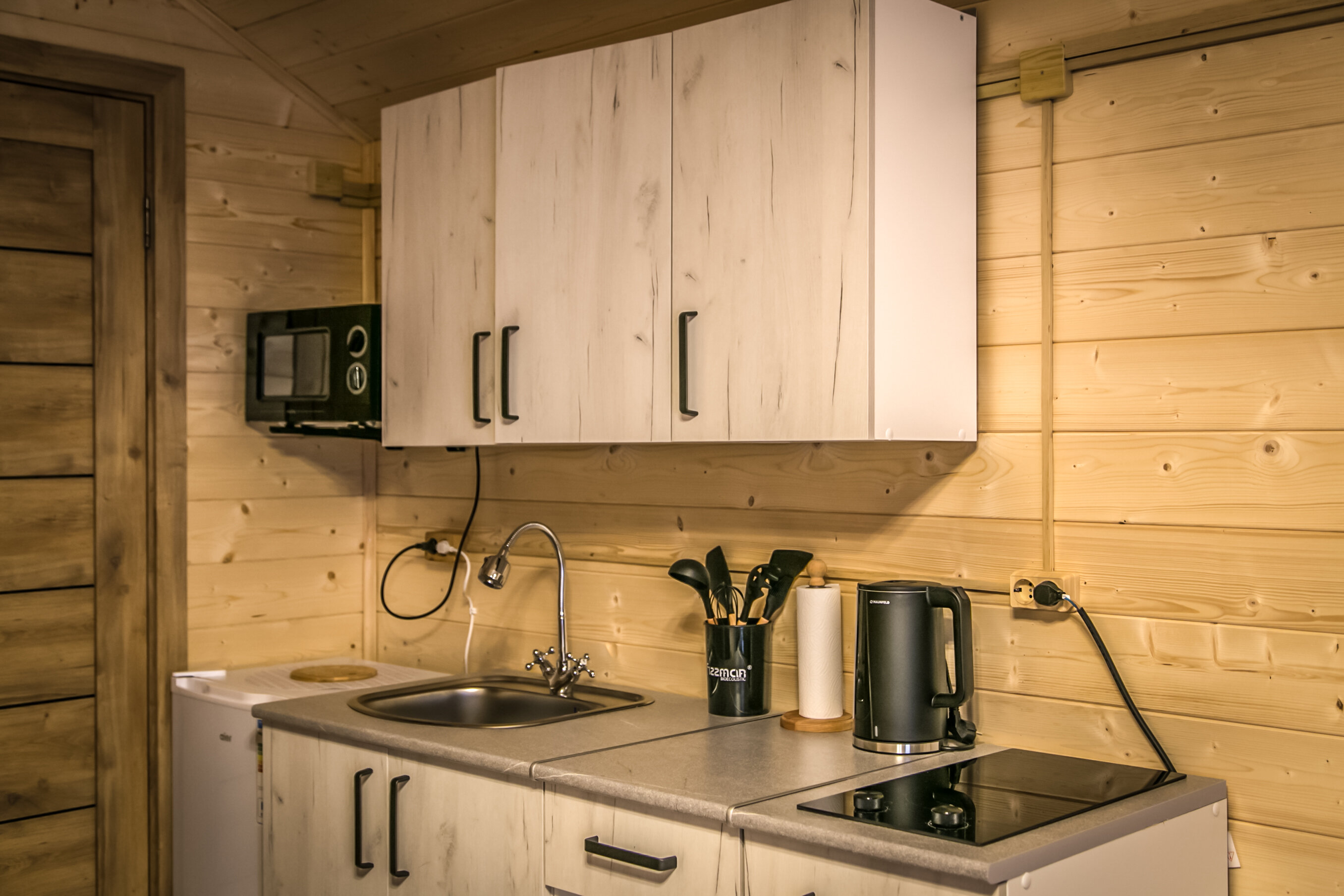 Фото Дикая Лошадь