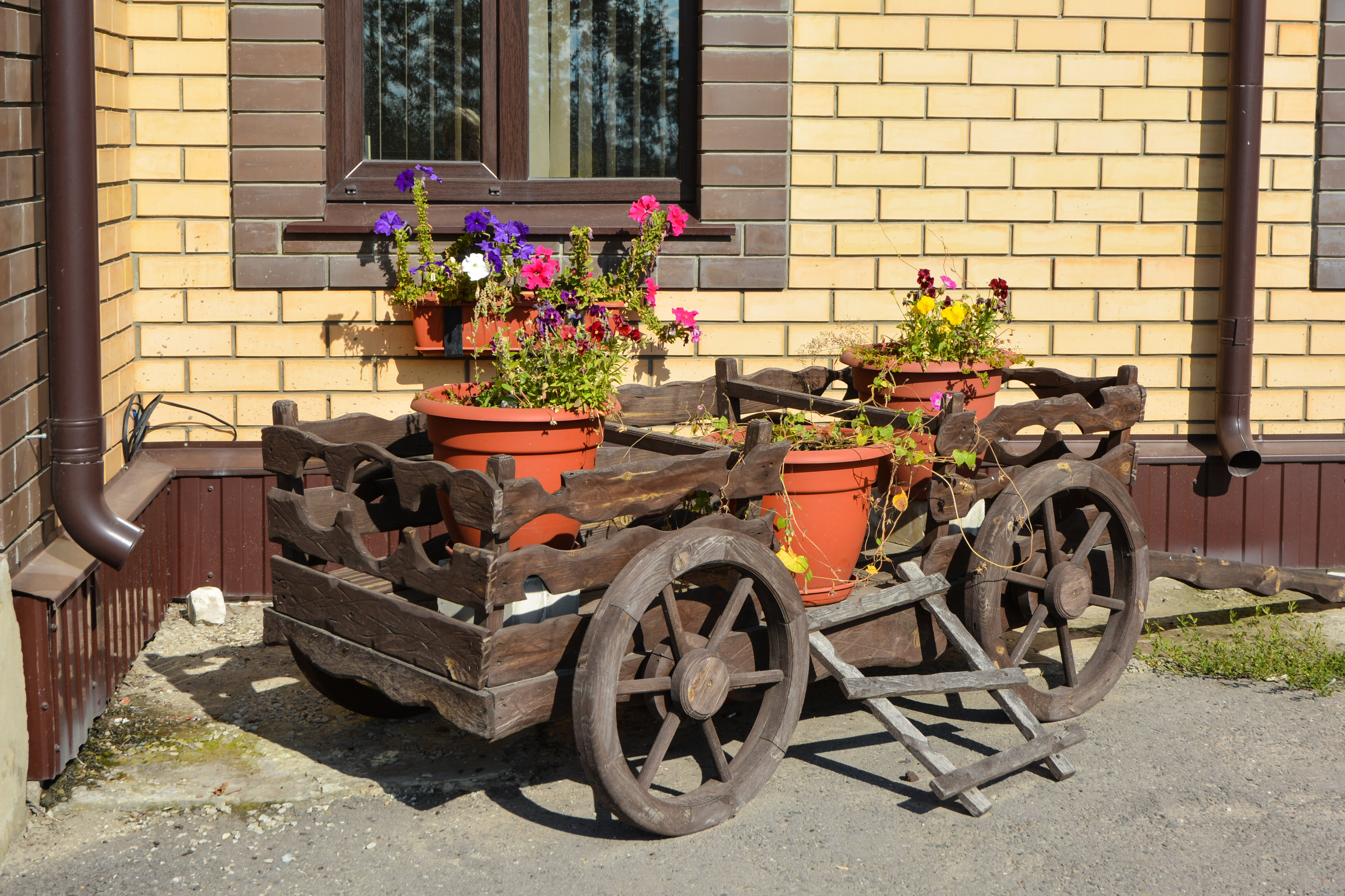 Фото Медведефф
