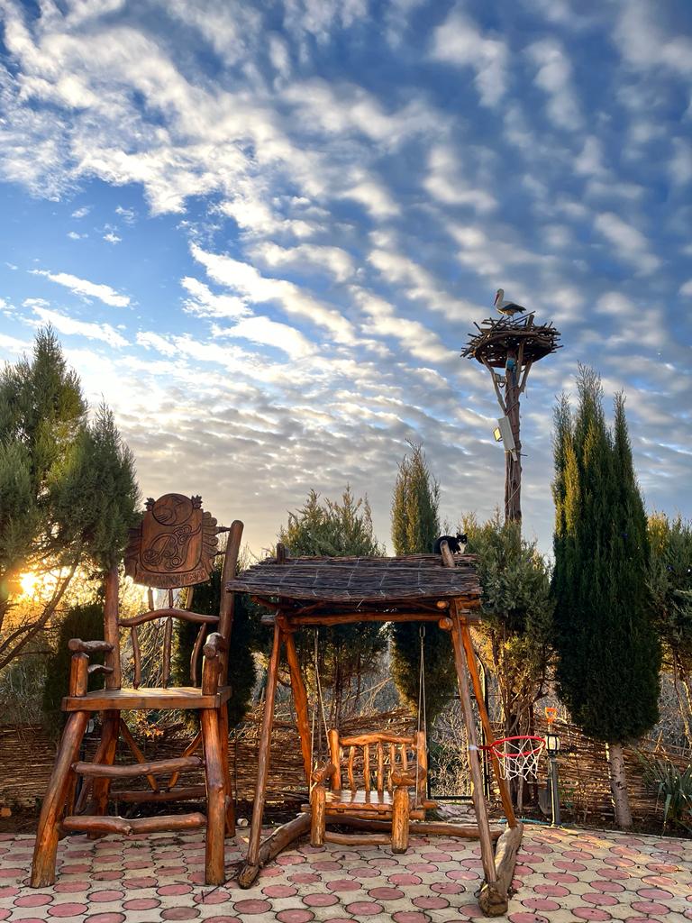 Фото Воробьиное гнездо