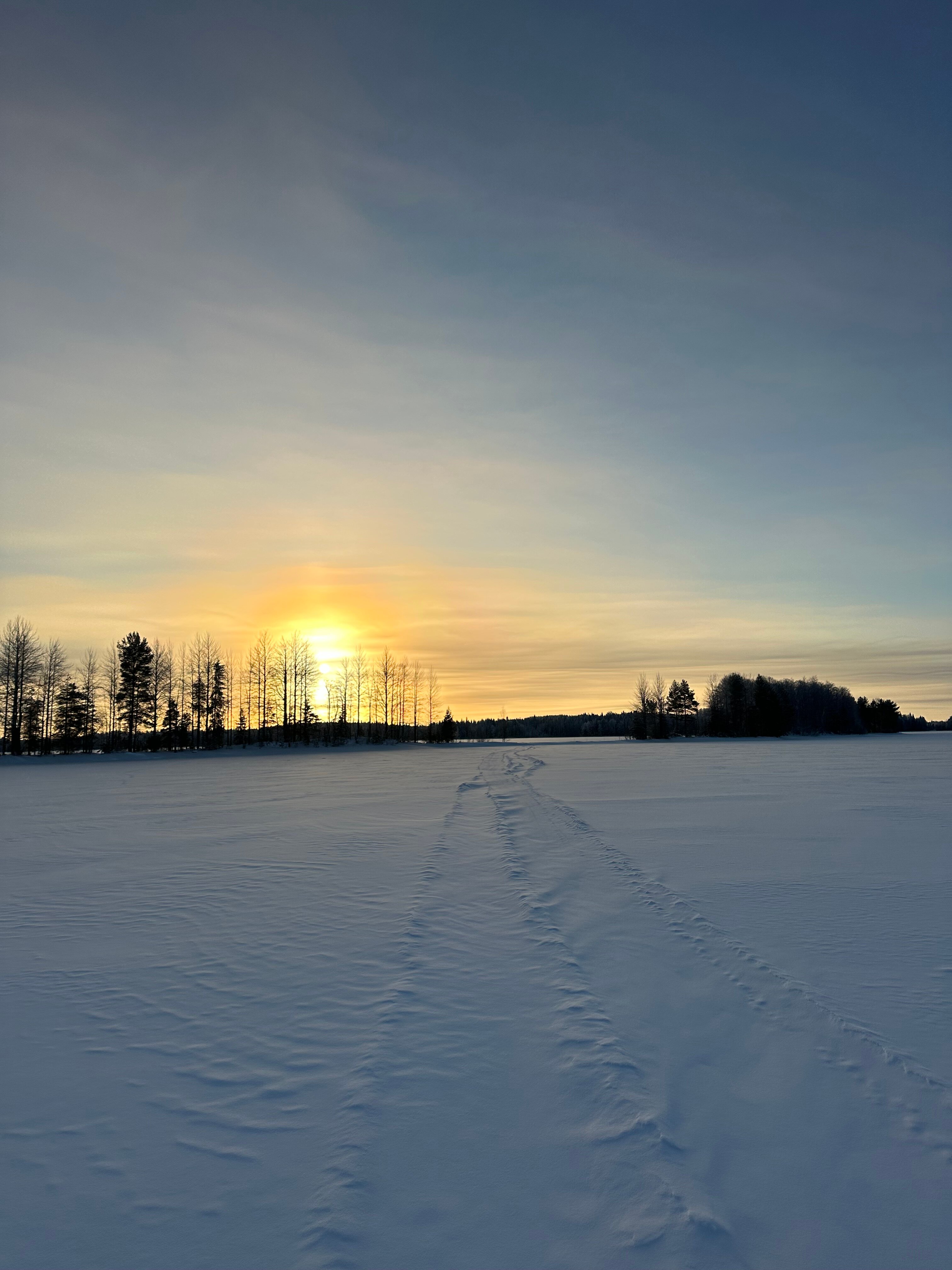 Фото Эко-кемп Водлозерье