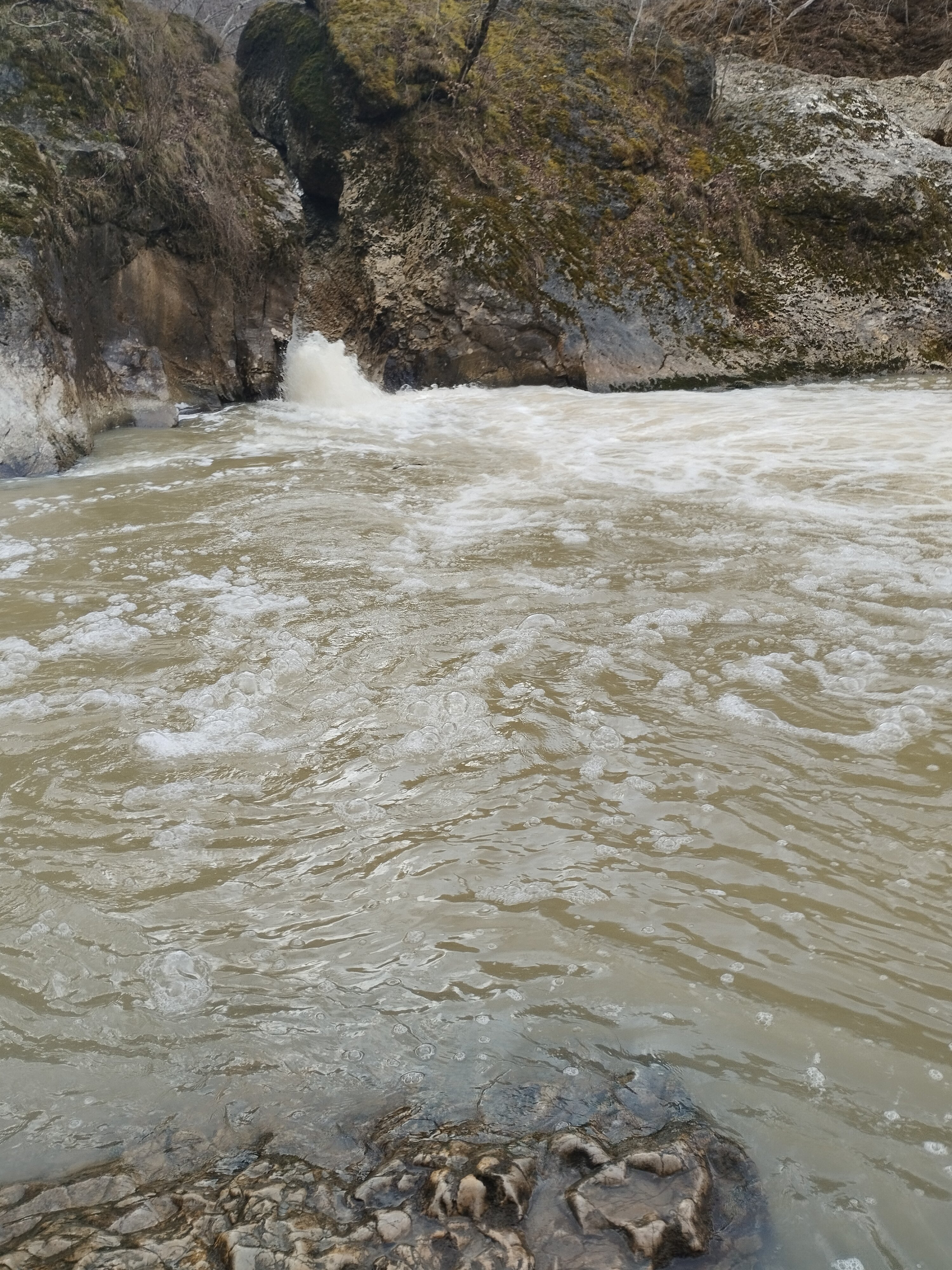 Фото Логово