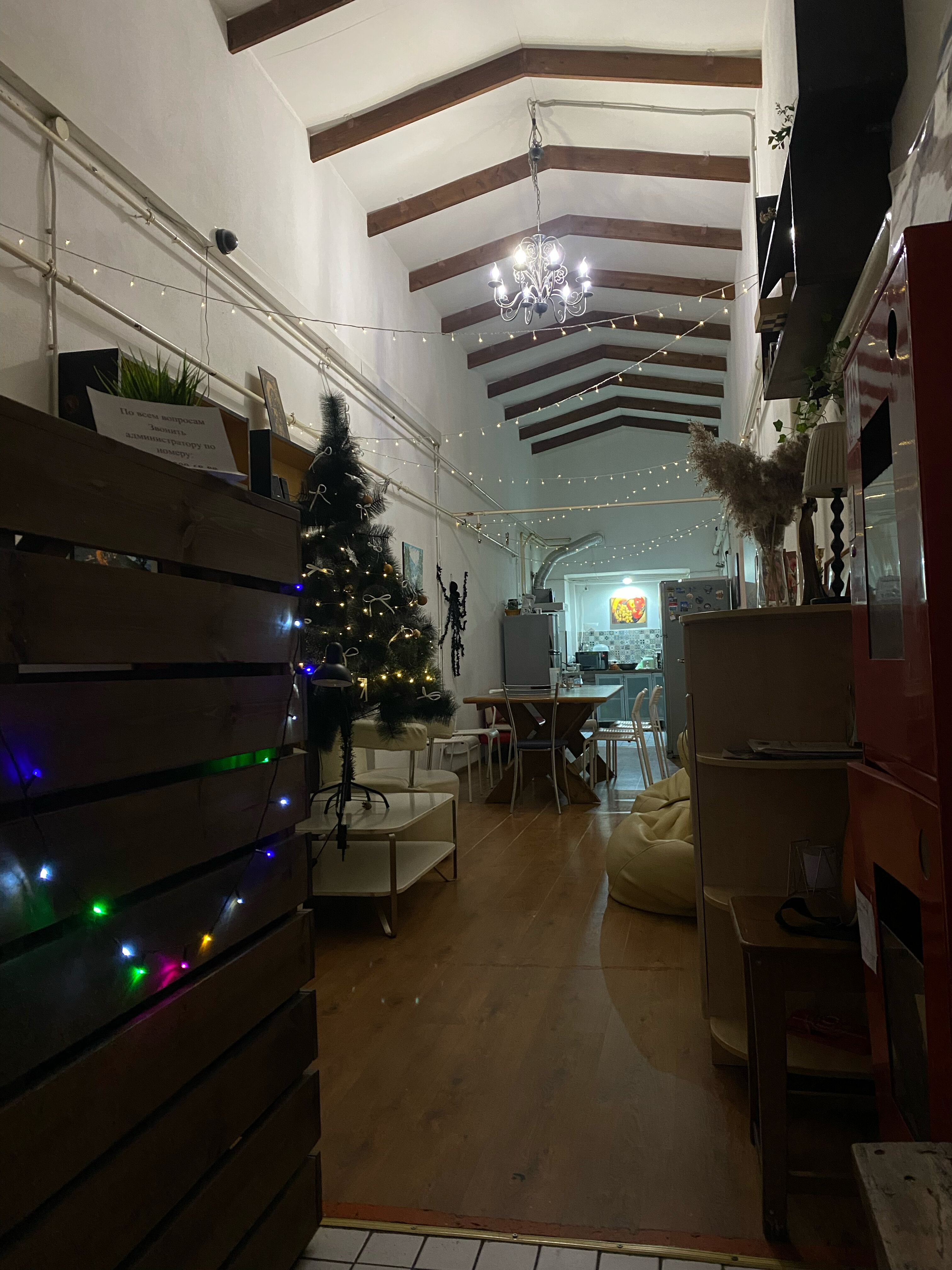 Фото Петя и Волк